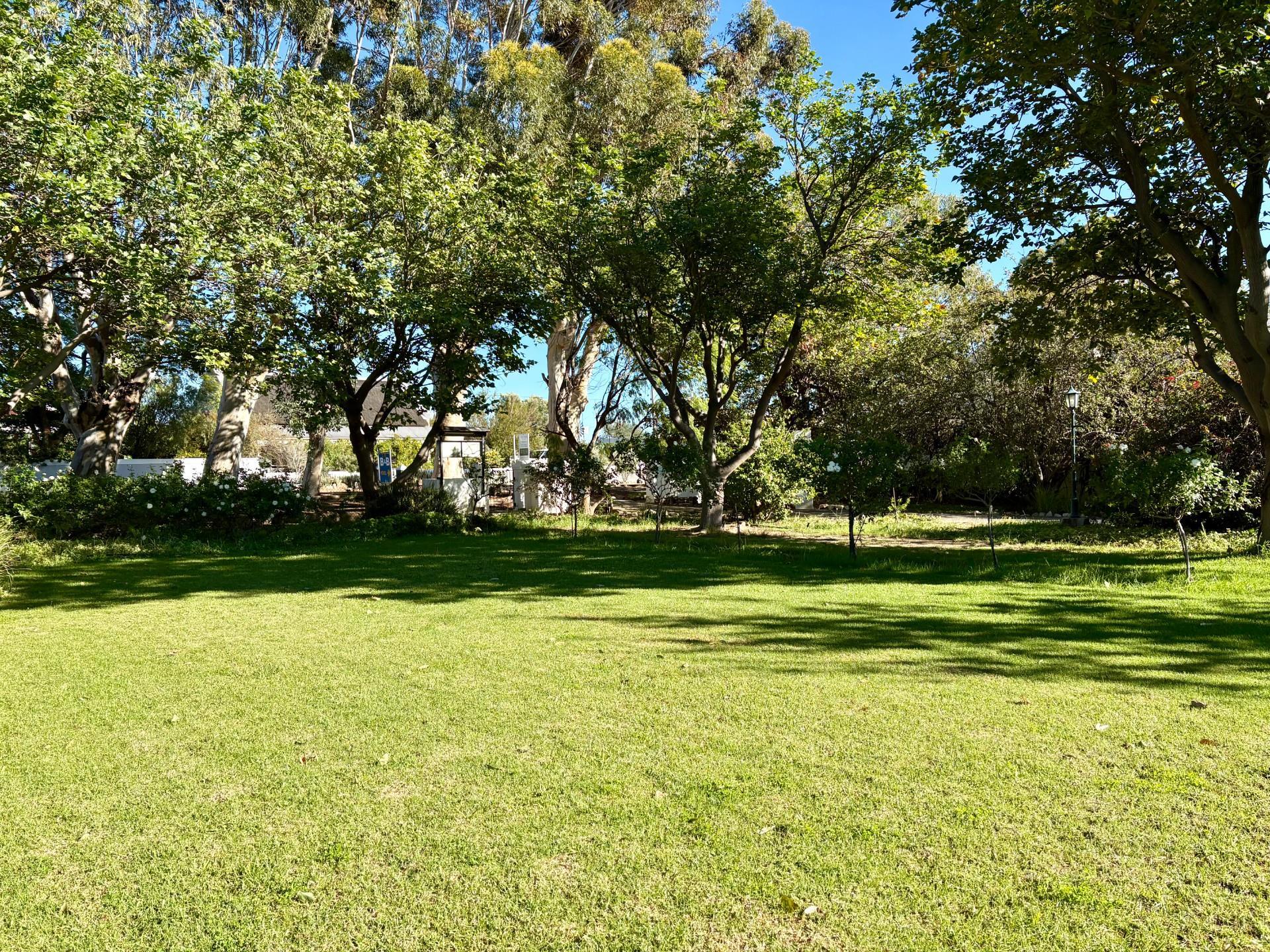 Image 3 of 6