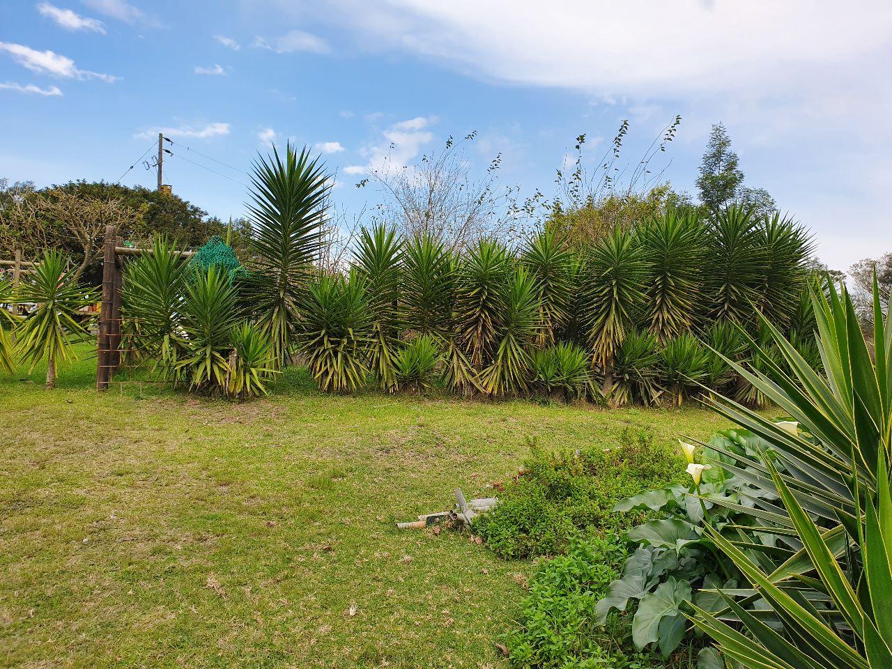 Image 3 of 6