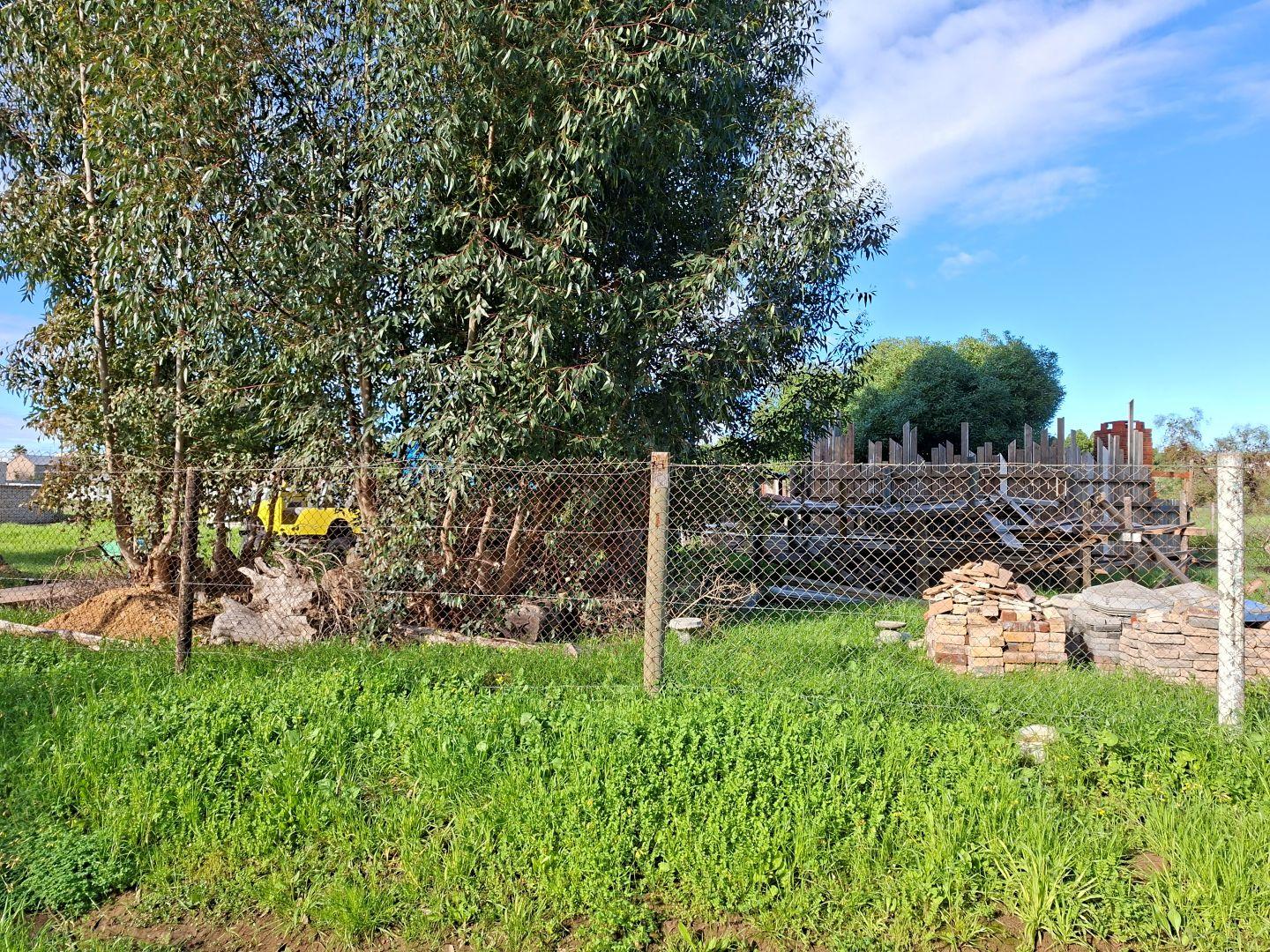 Image 3 of 6