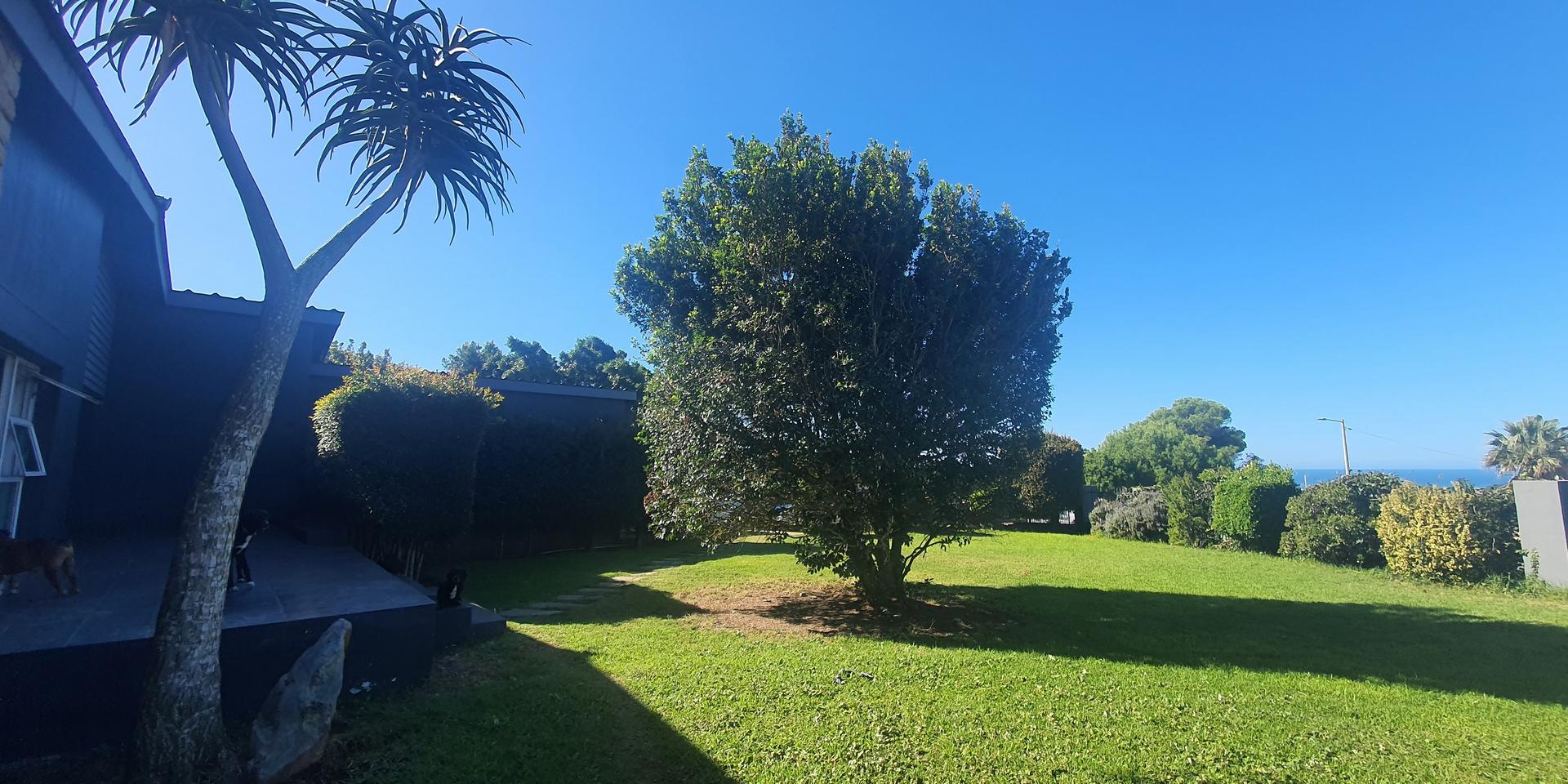 Image 4 of 6