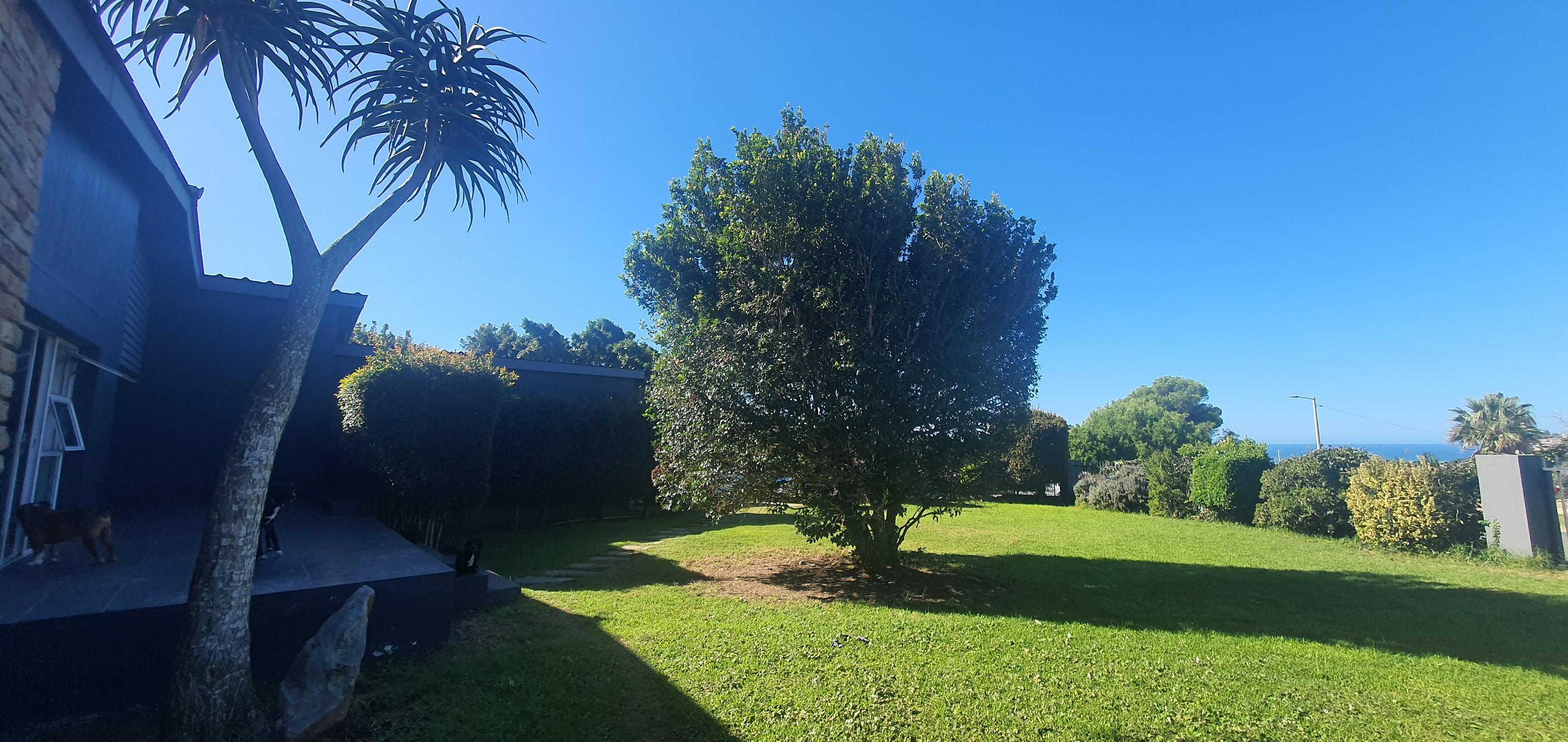 Image 4 of 6