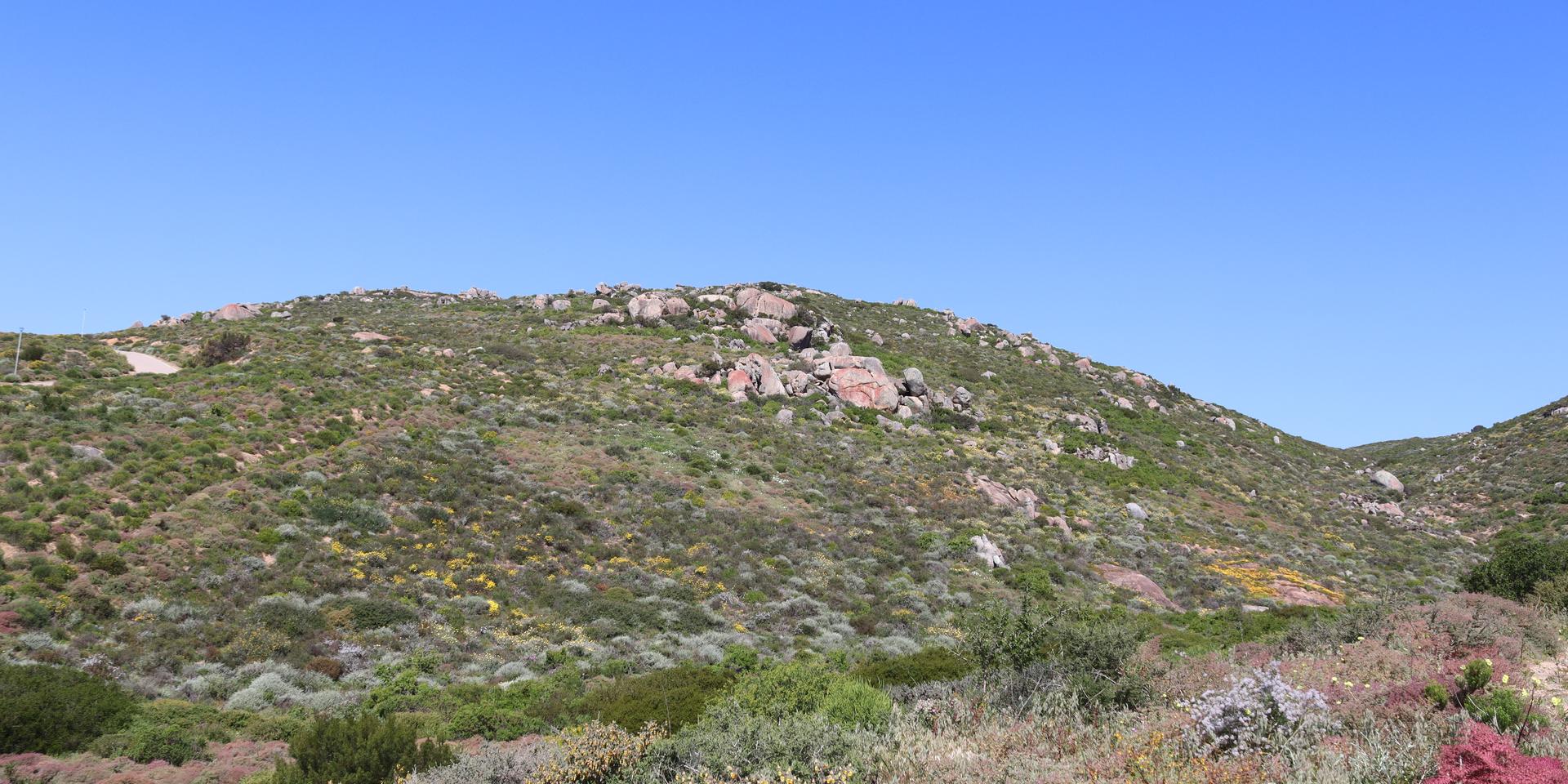 Image 5 of 6