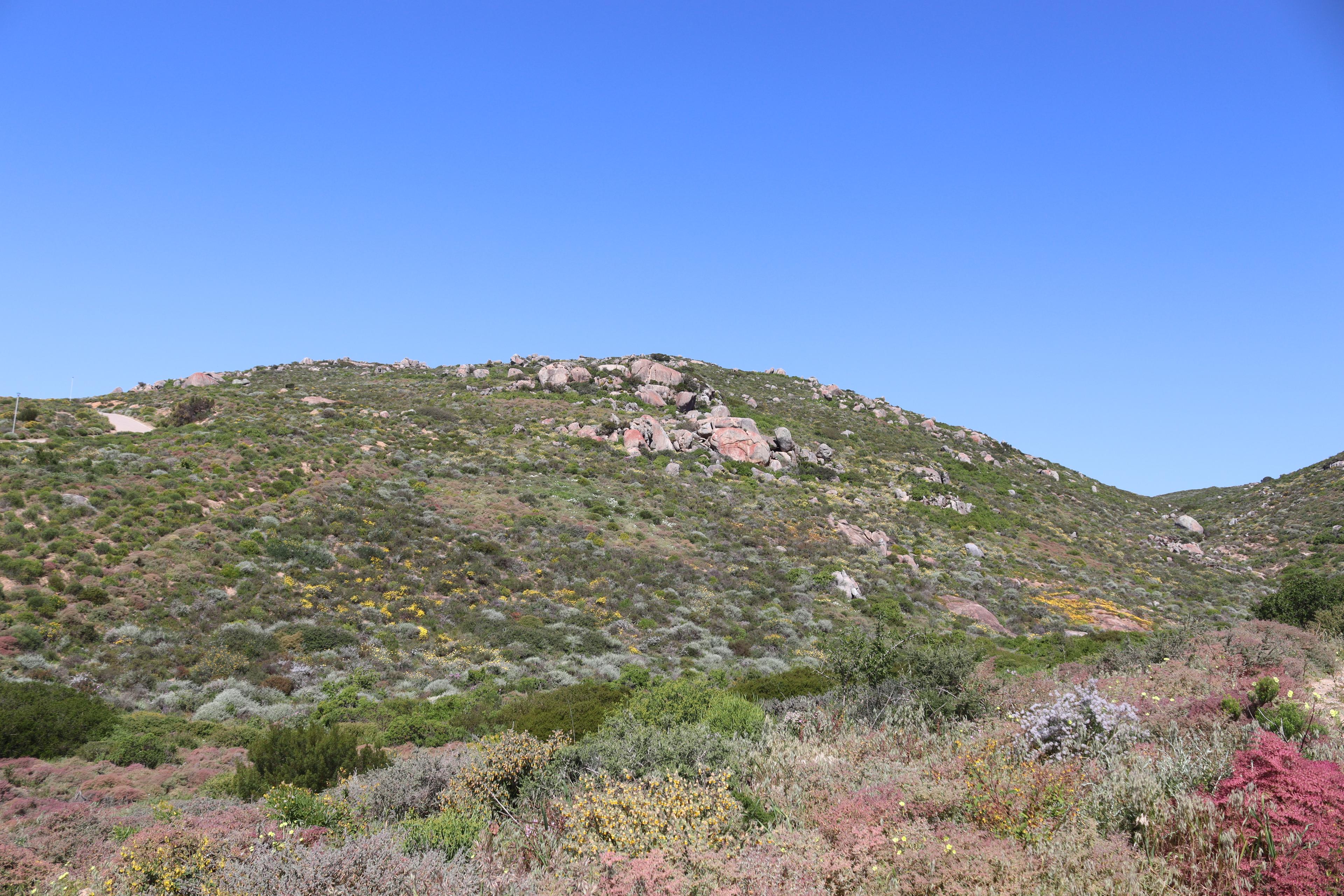 Image 2 of 6