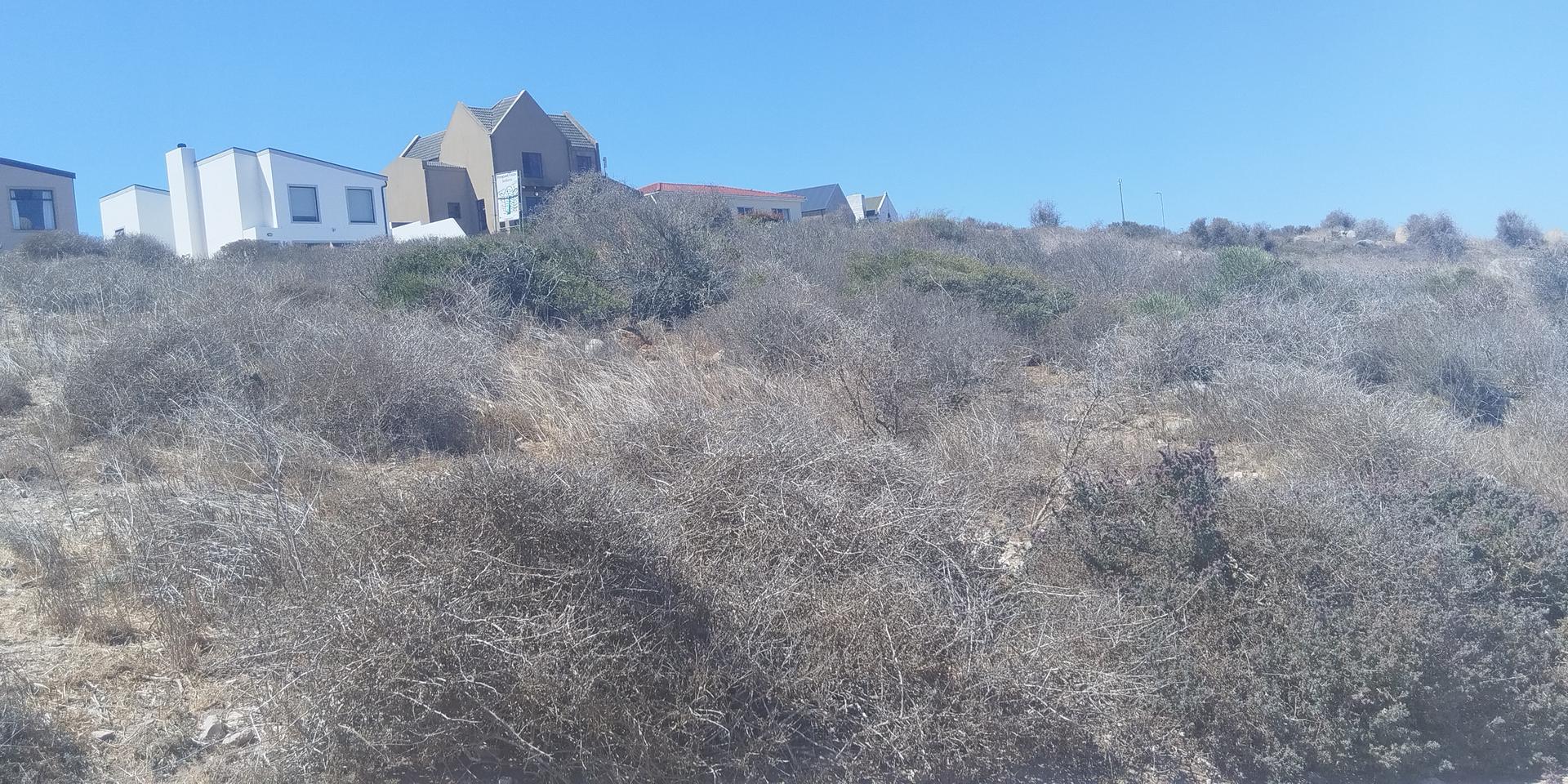 Image 5 of 6
