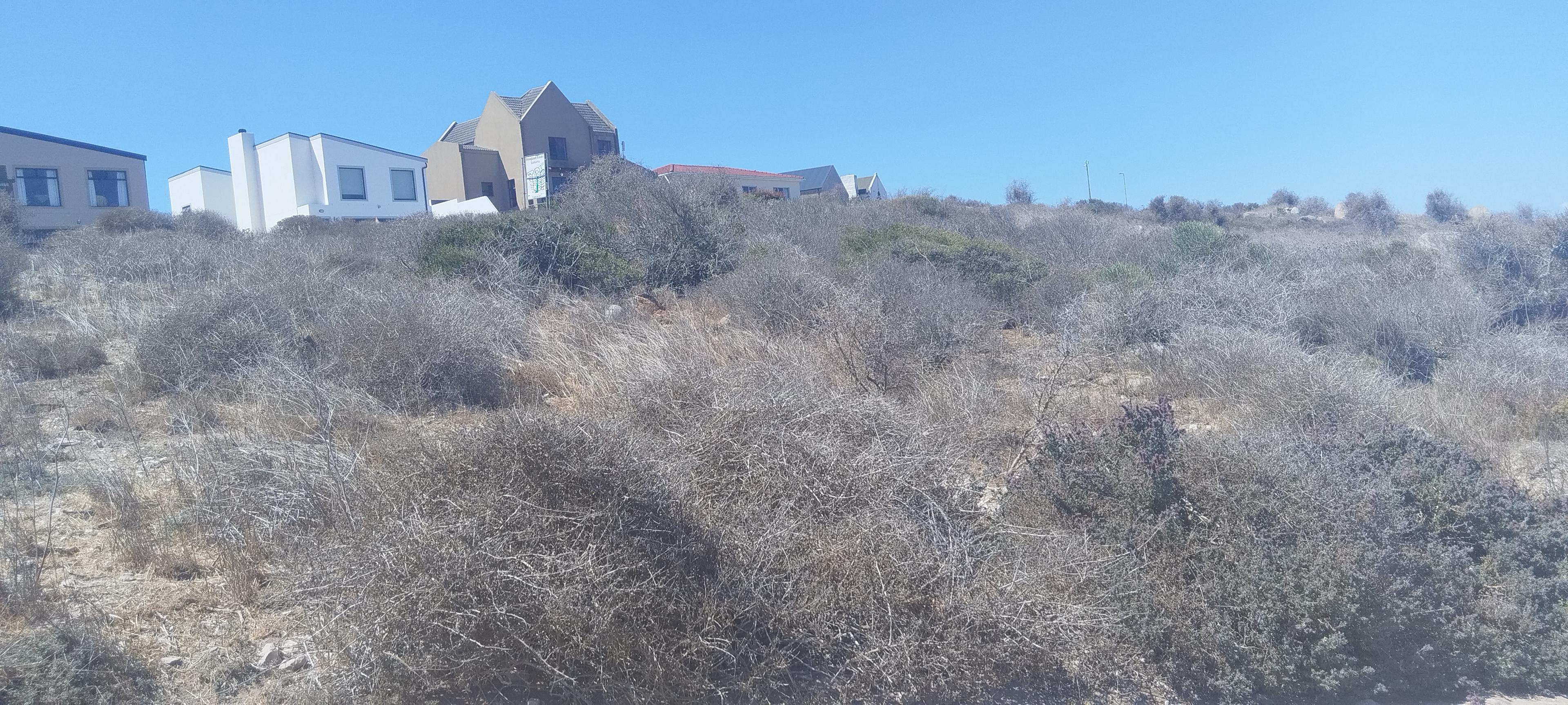 Image 5 of 6