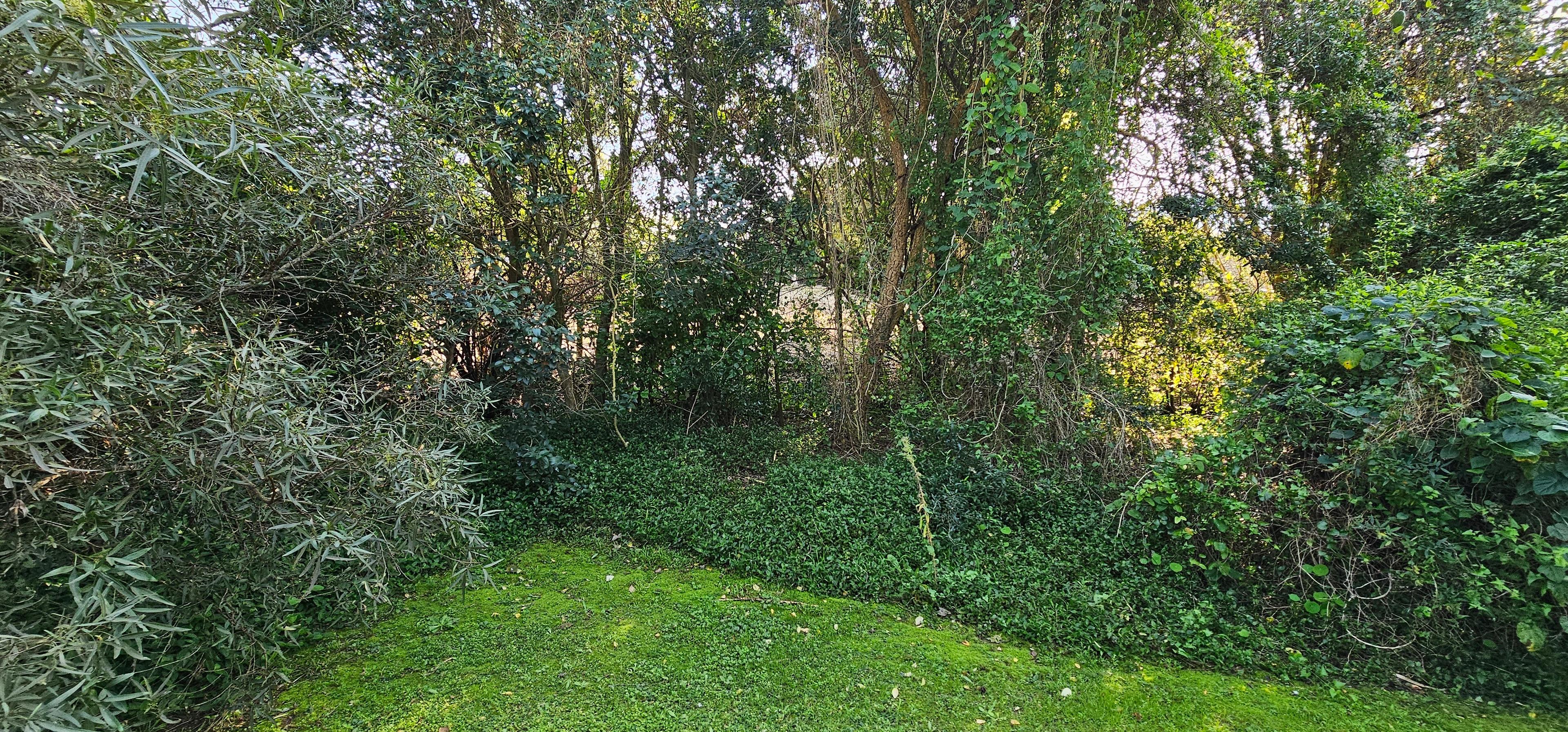 Image 41