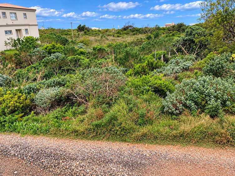 Main property image