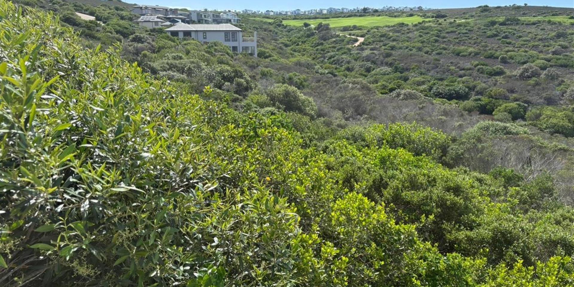 Image 2 of 6