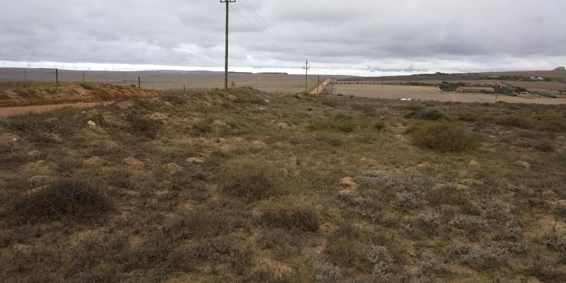 Image 4 of 6