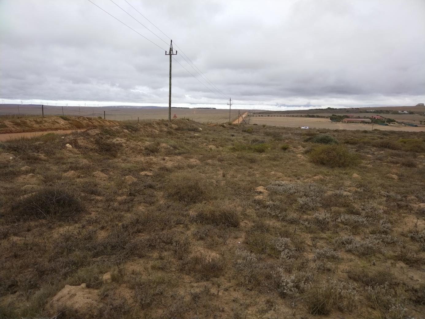 Image 4 of 6