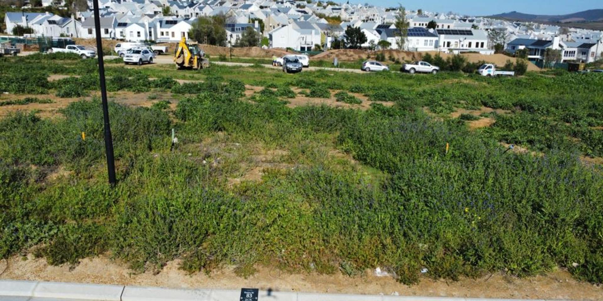 Image 4 of 6