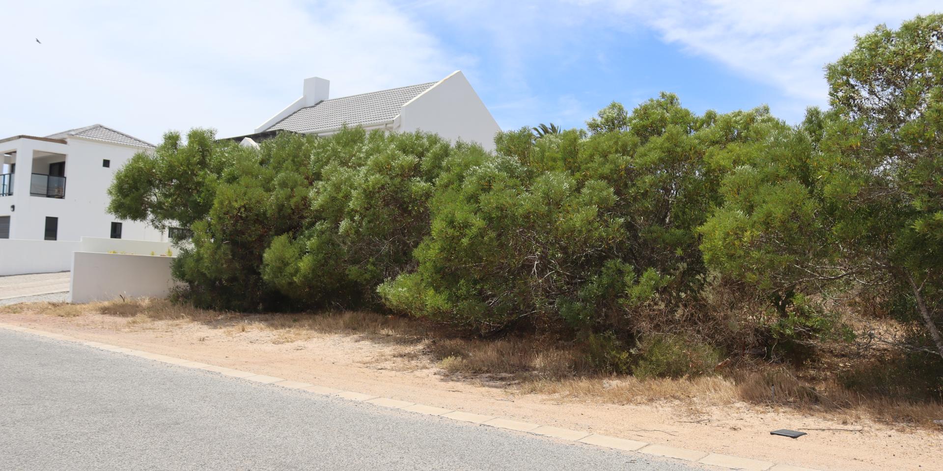 Image 5 of 6