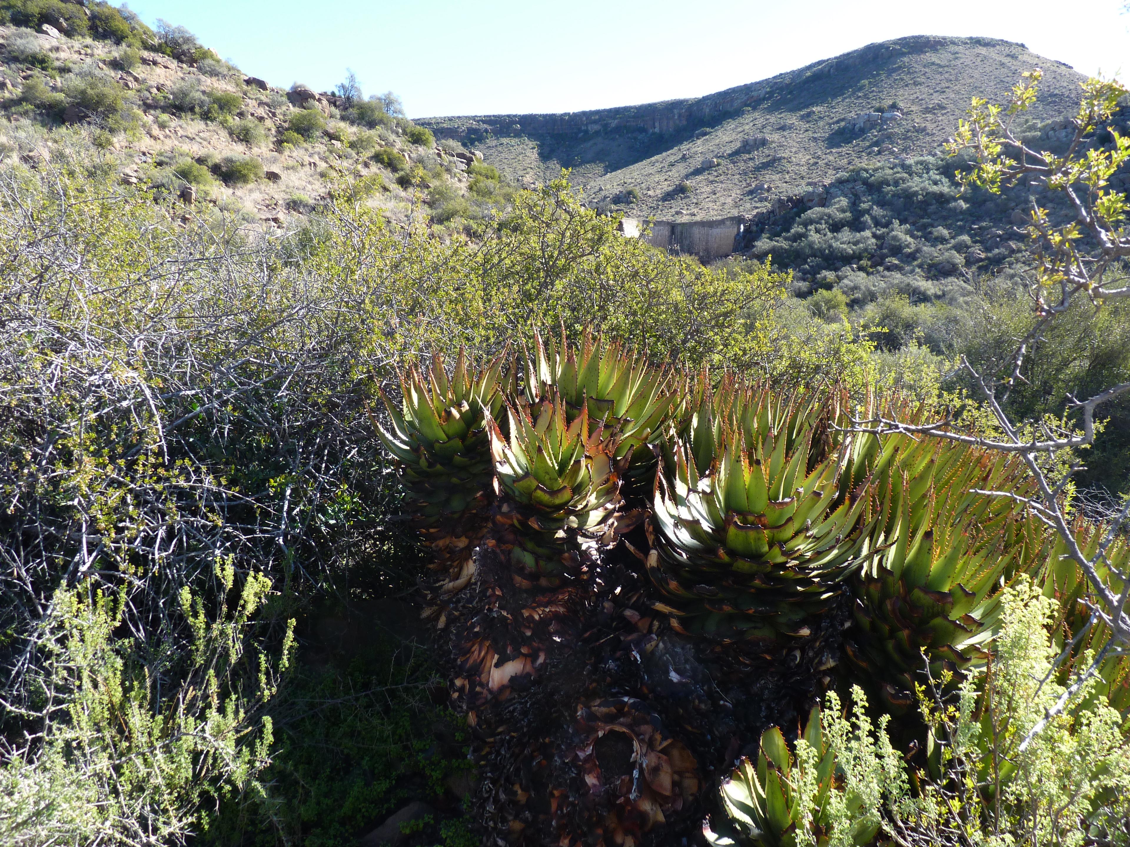 Image 11