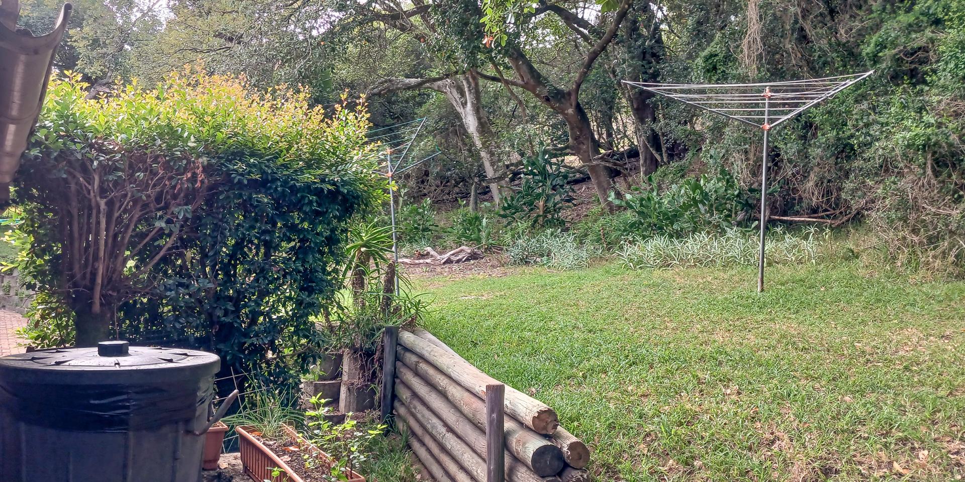Image 4 of 6