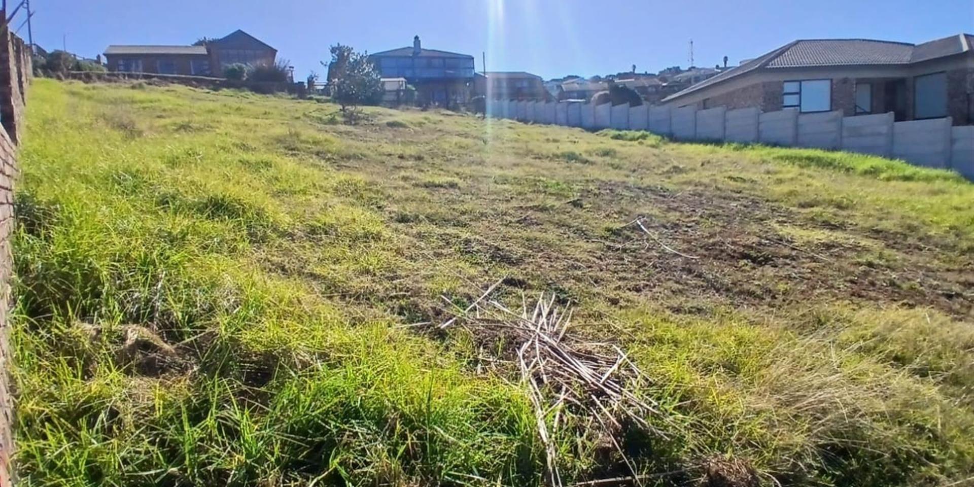Image 5 of 6