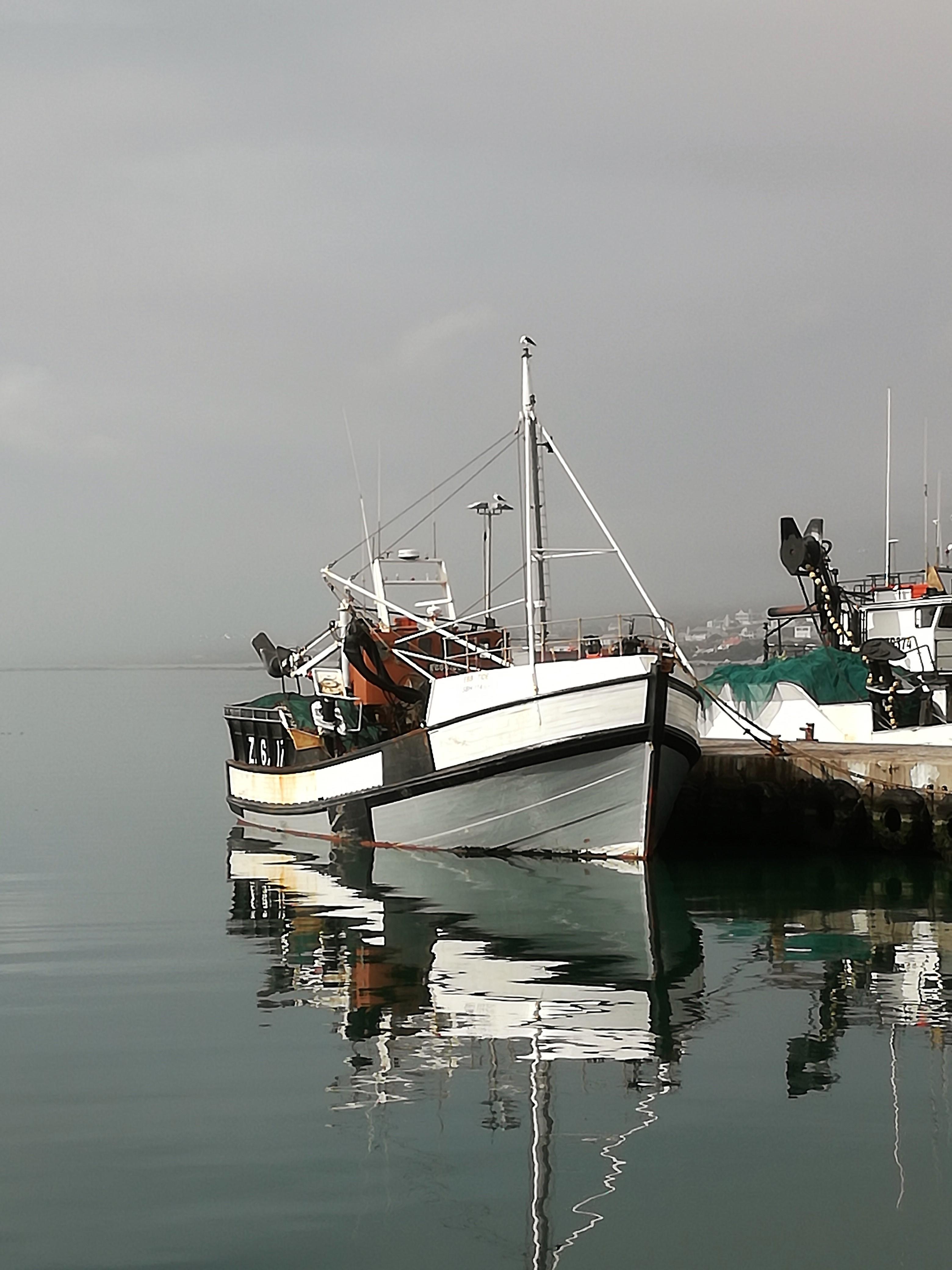 Image 31