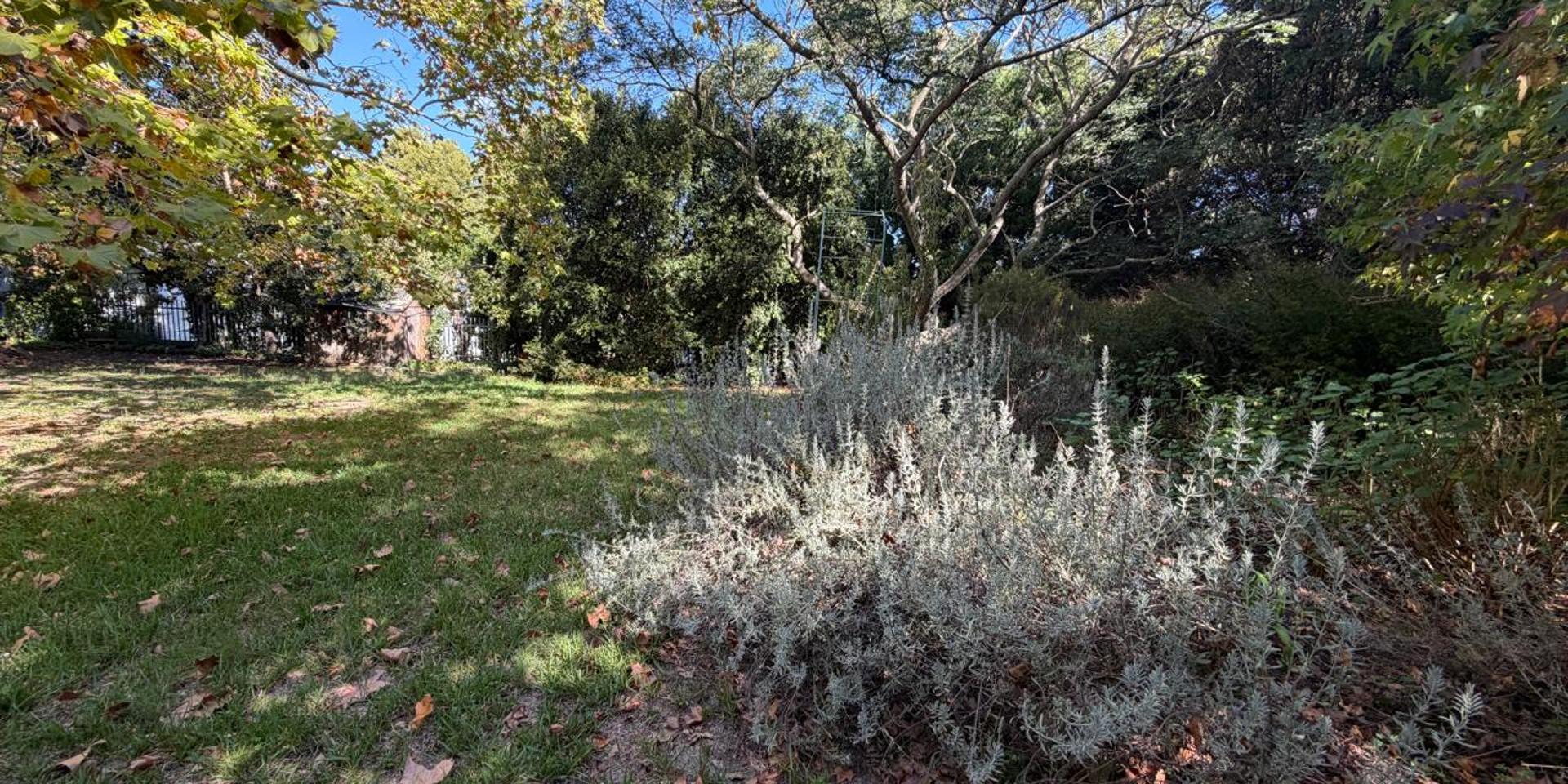 Image 4 of 6