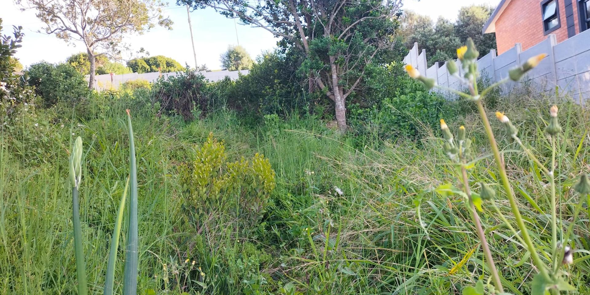 Image 4 of 6