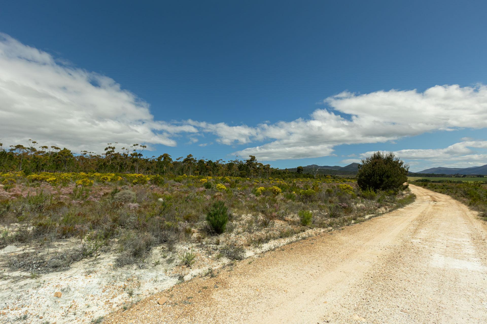 Image 13