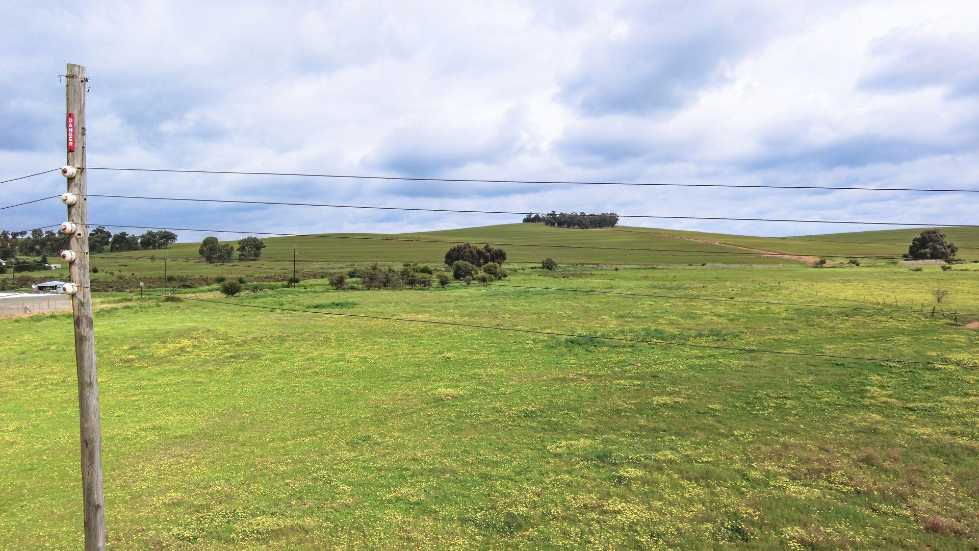 Image 12