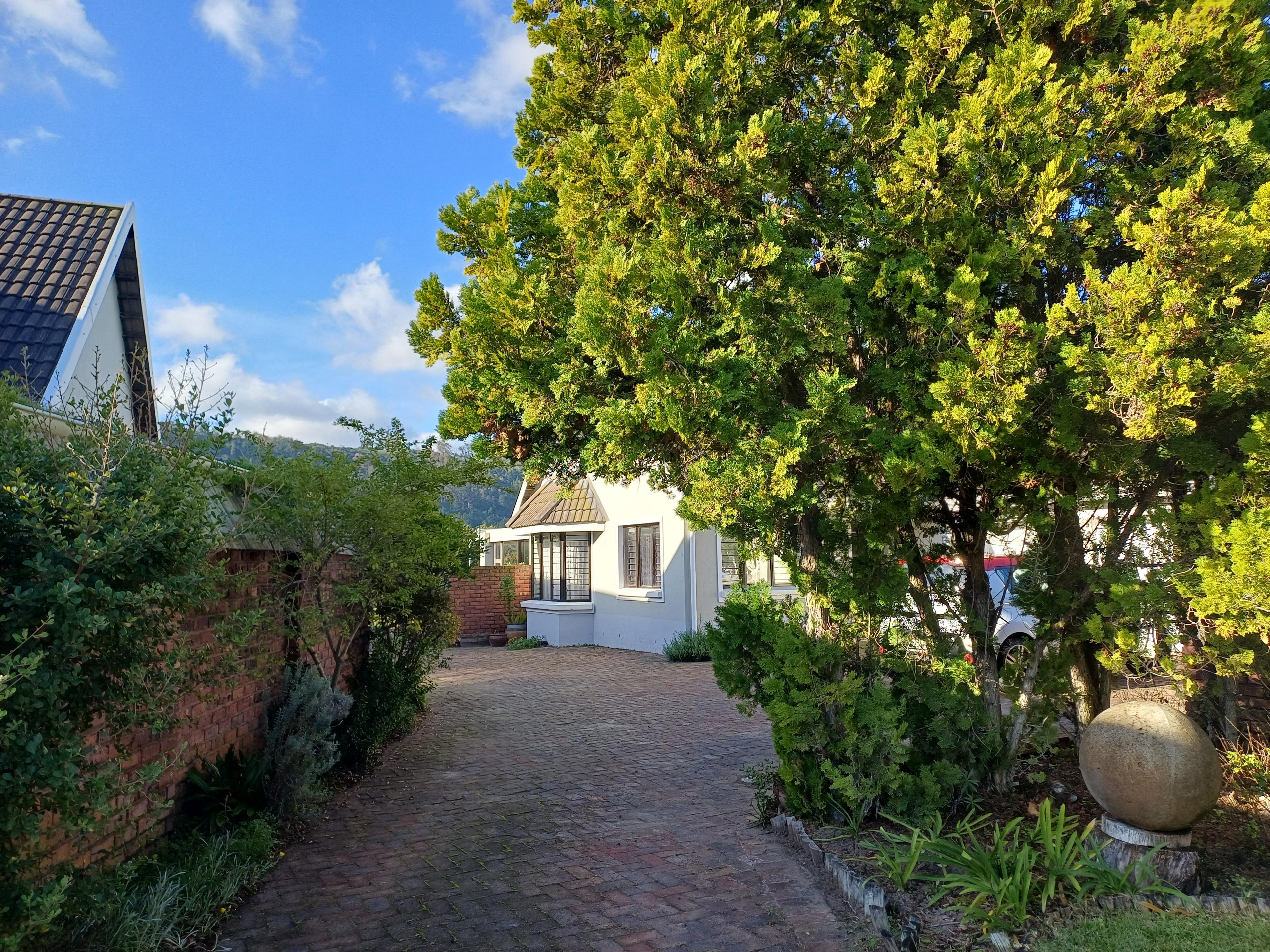 Image 50