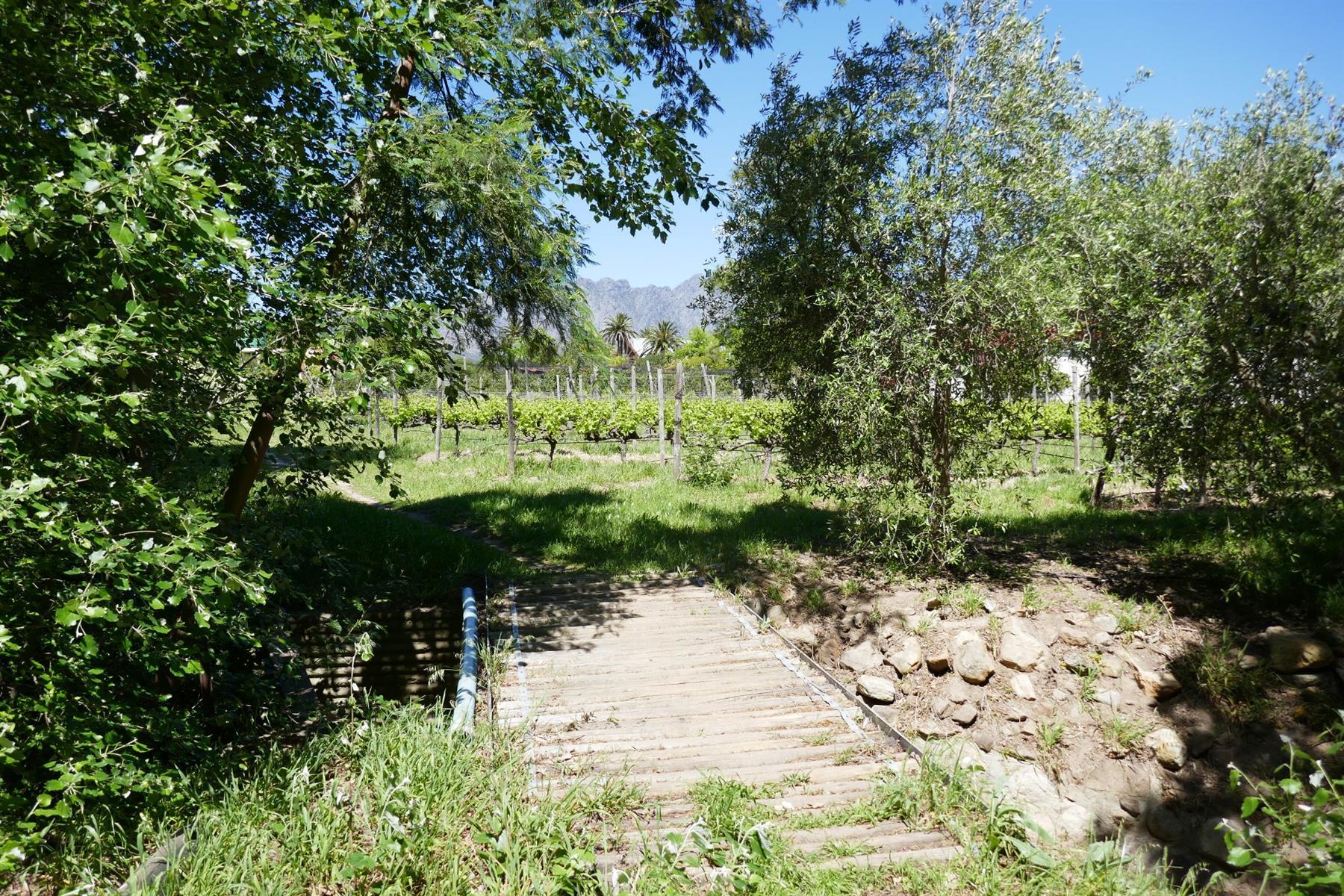 Image 47