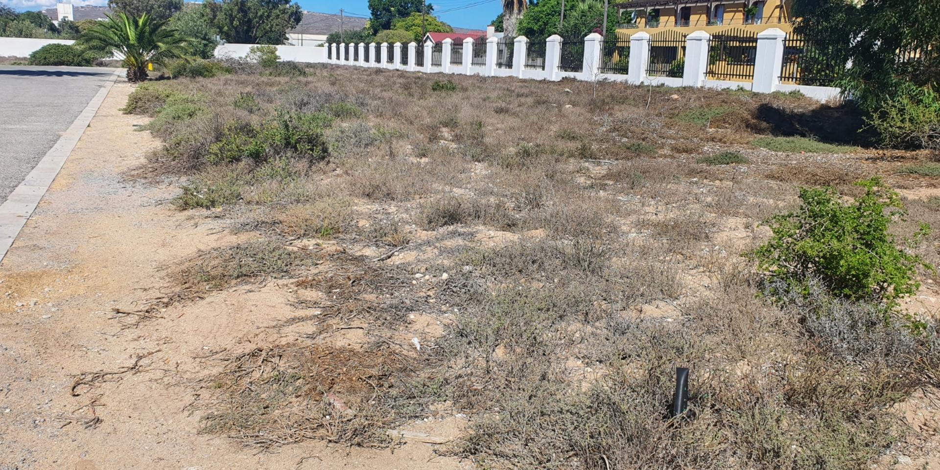 Image 2 of 6