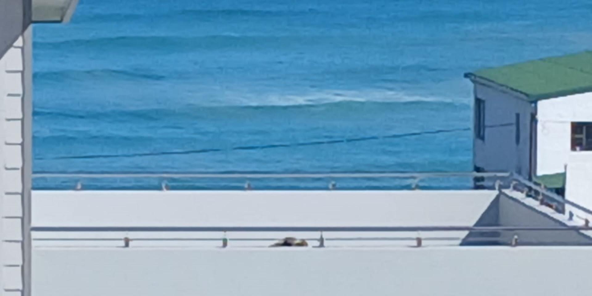 Image 4 of 6