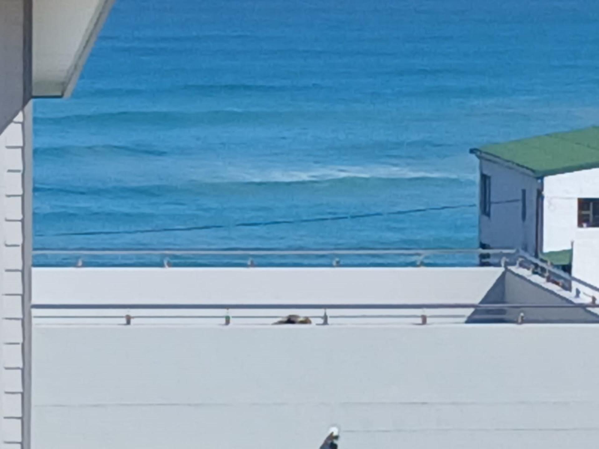 Image 4 of 6