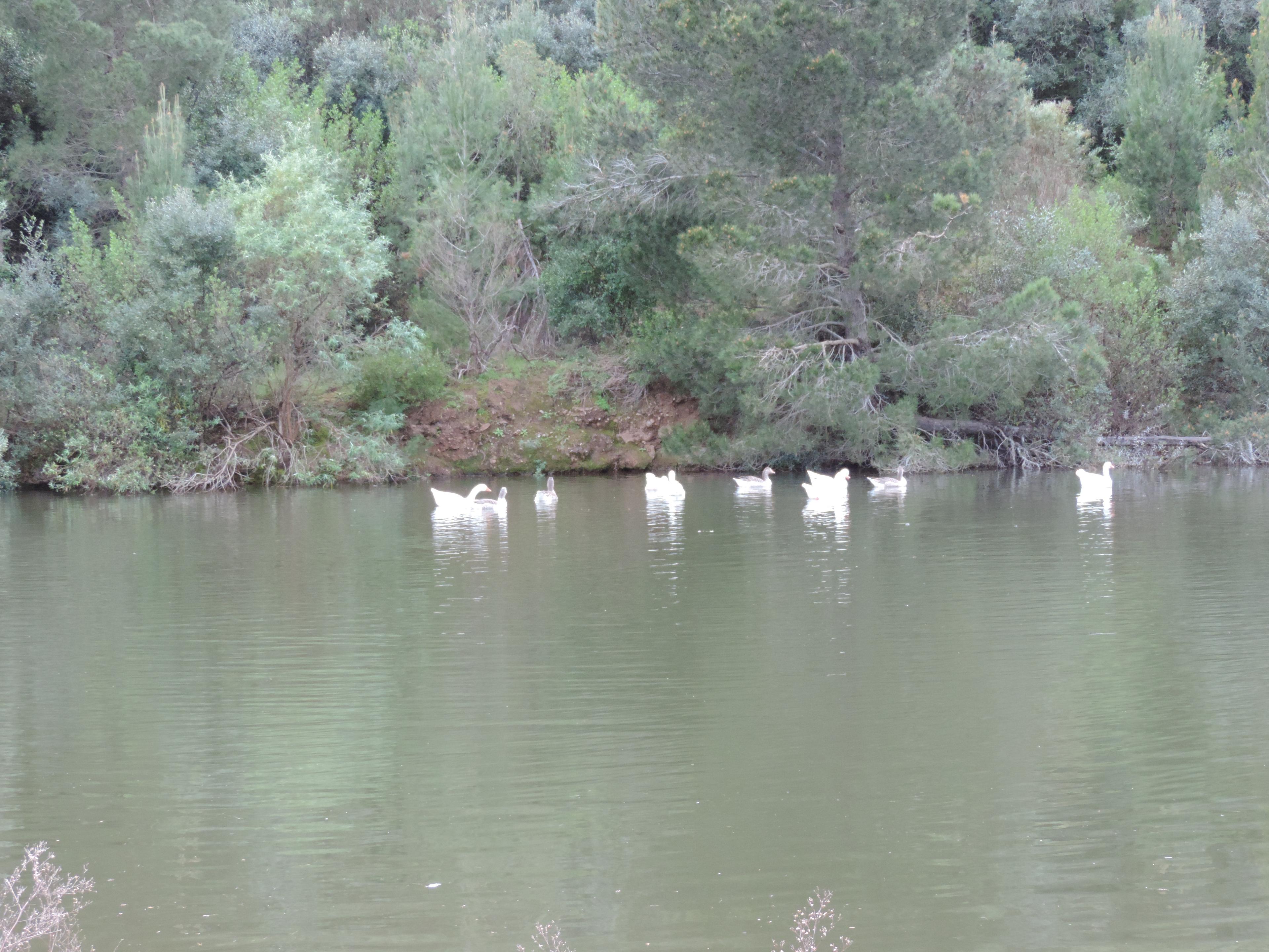 Image 53