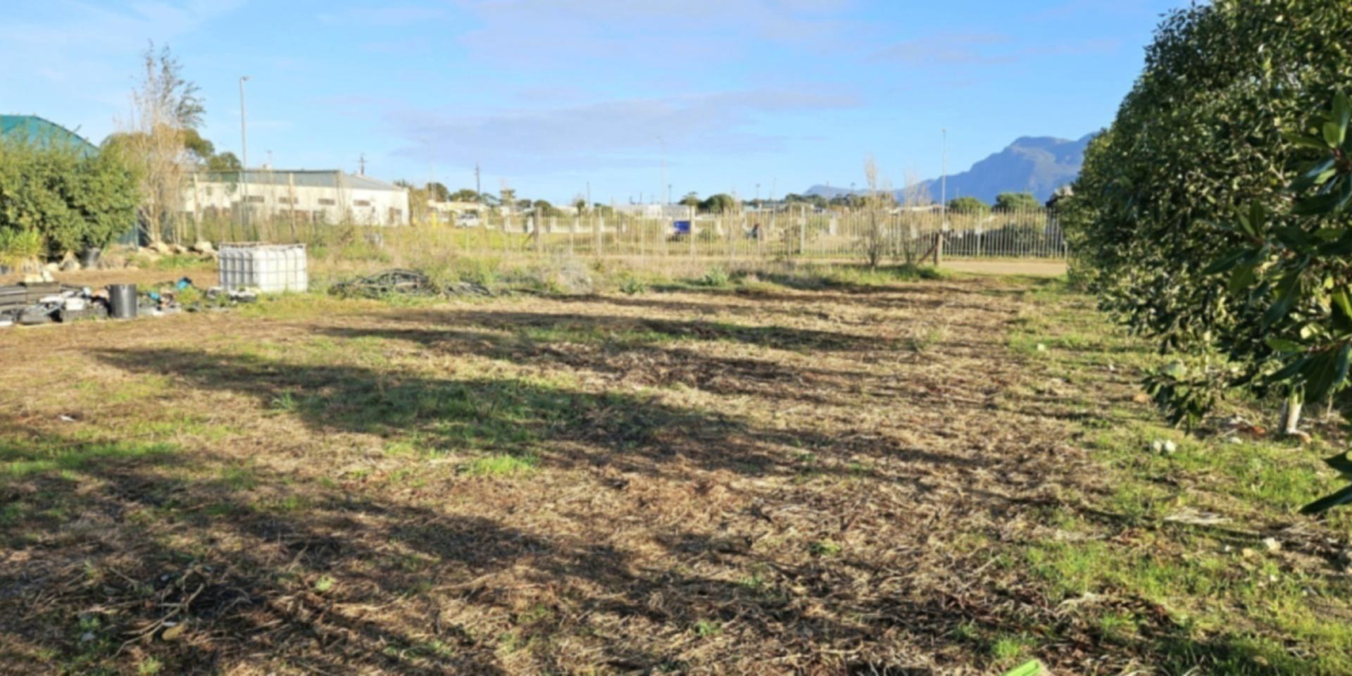 Image 5 of 6