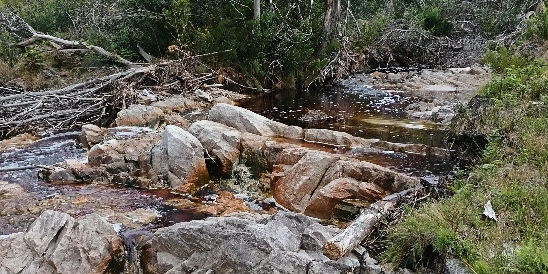 Image 4 of 6