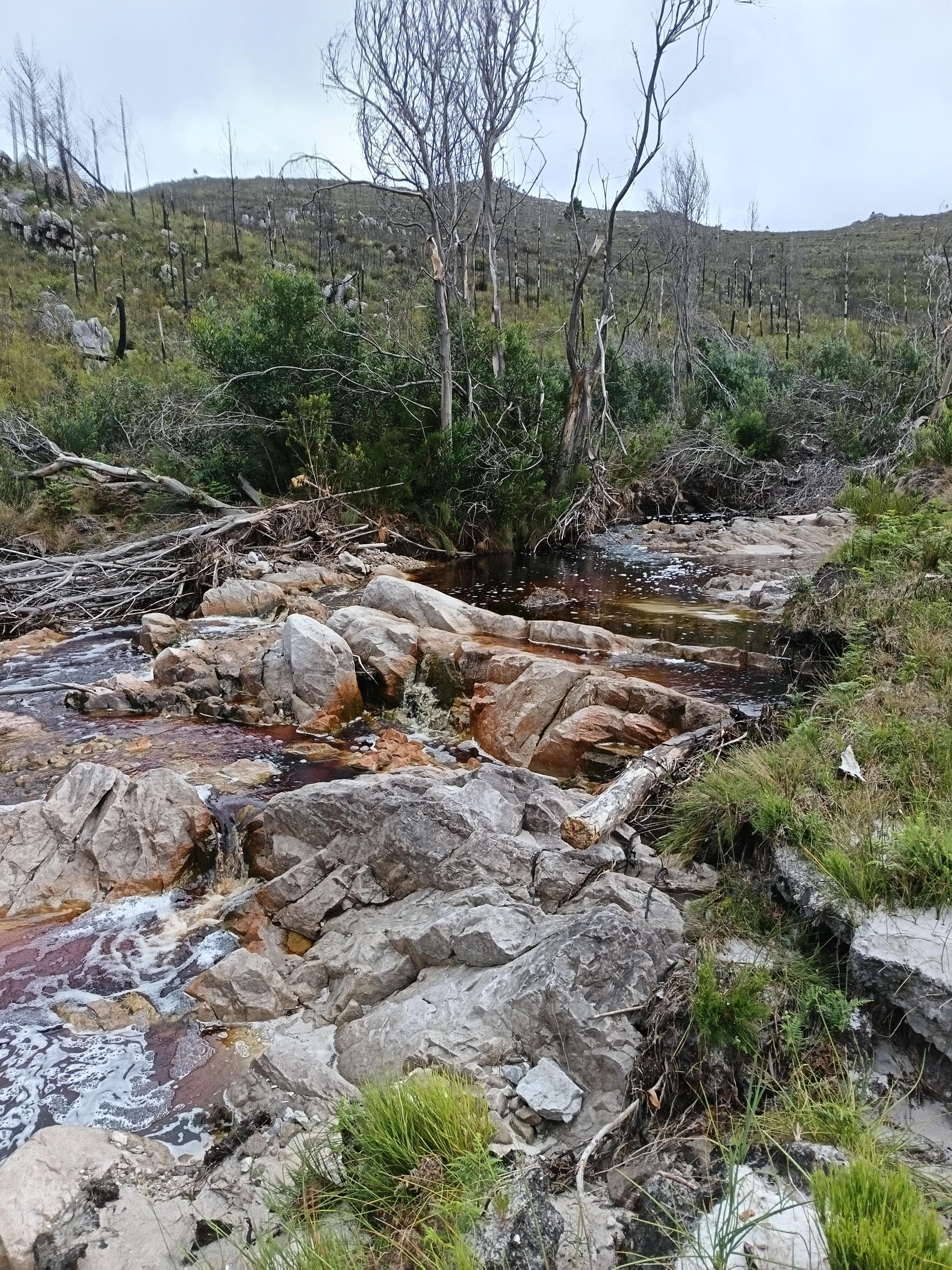 Image 4 of 6
