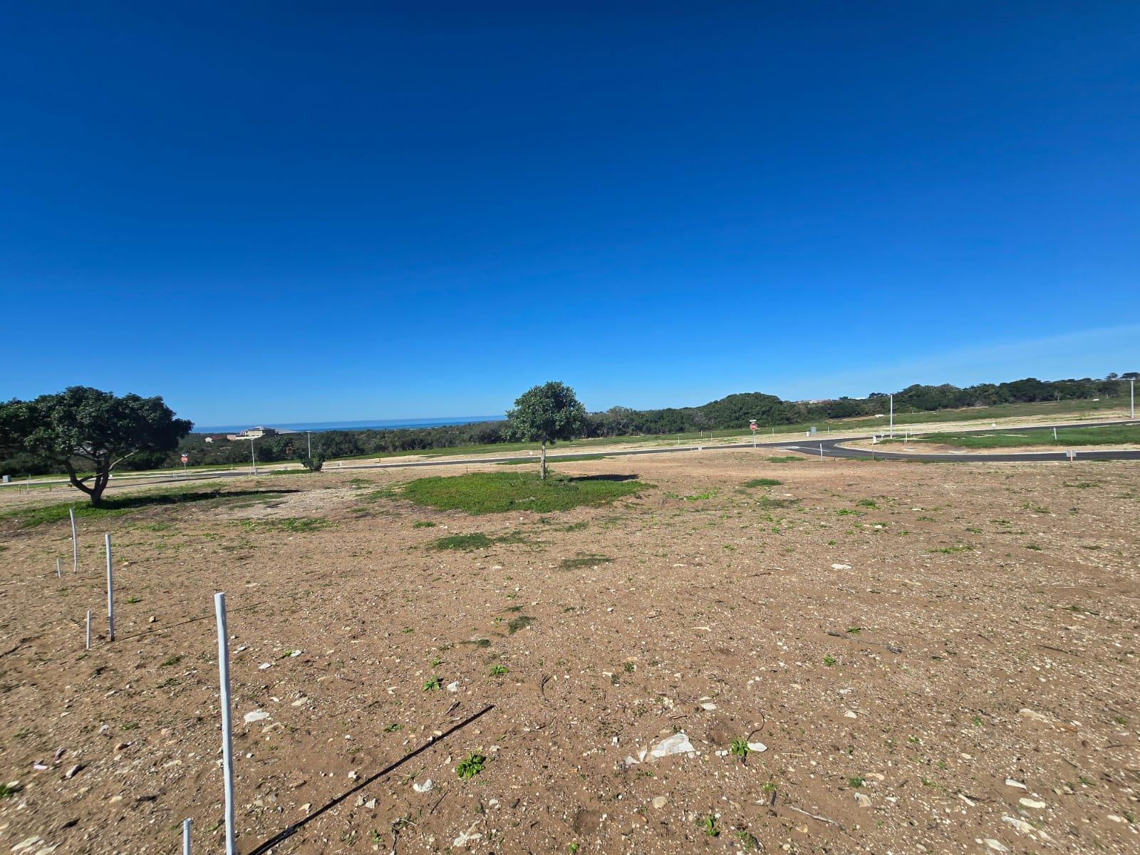 Image 4 of 6