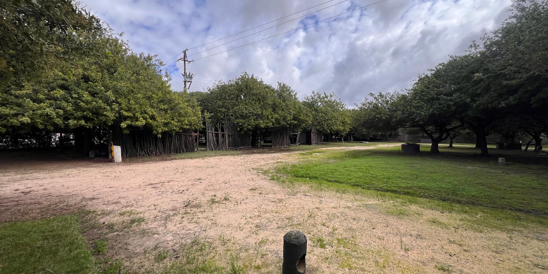 Image 4 of 6