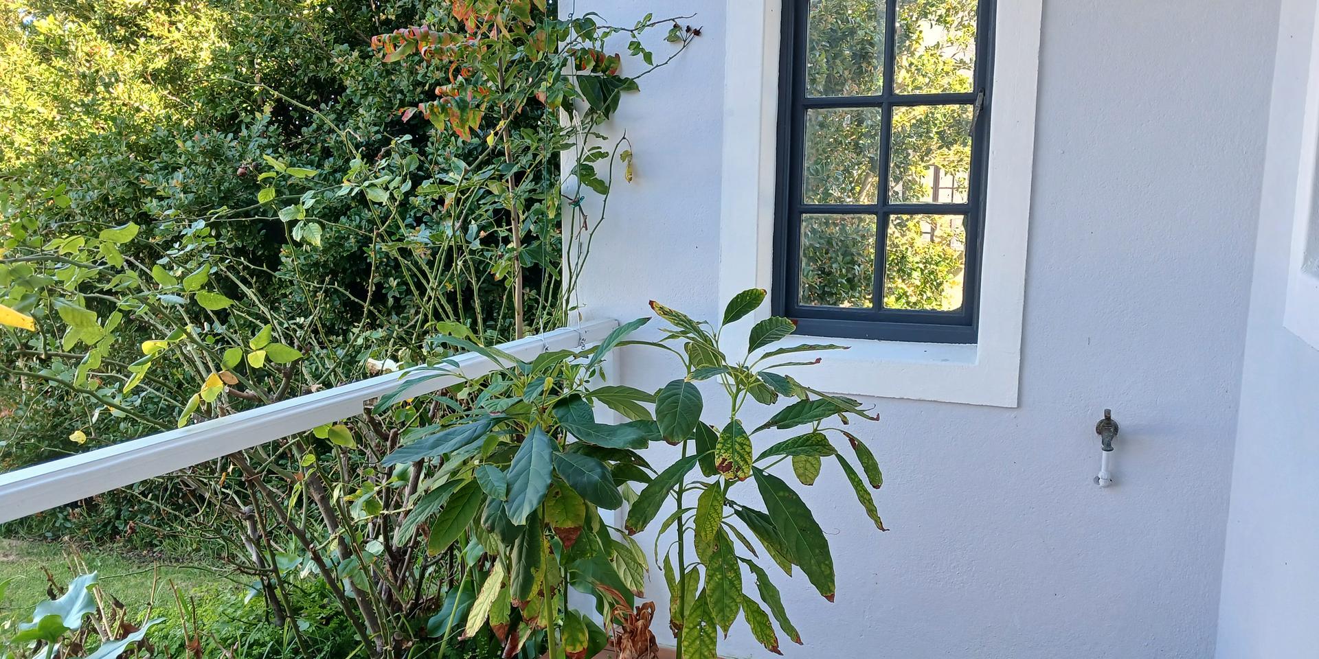 Image 3 of 6
