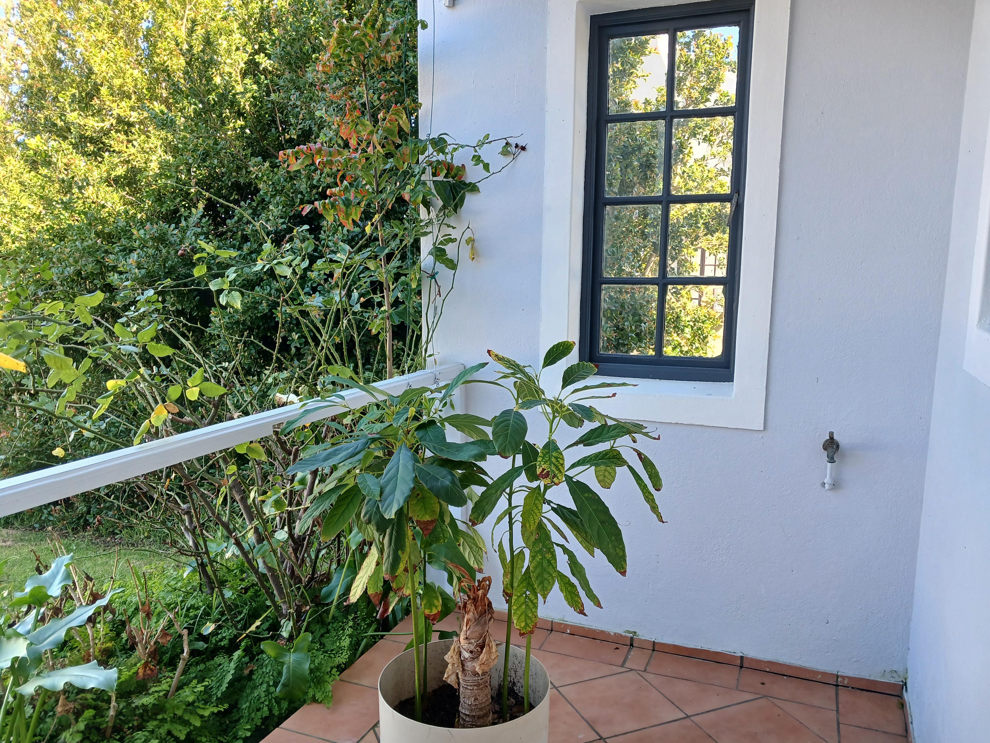 Image 3 of 6