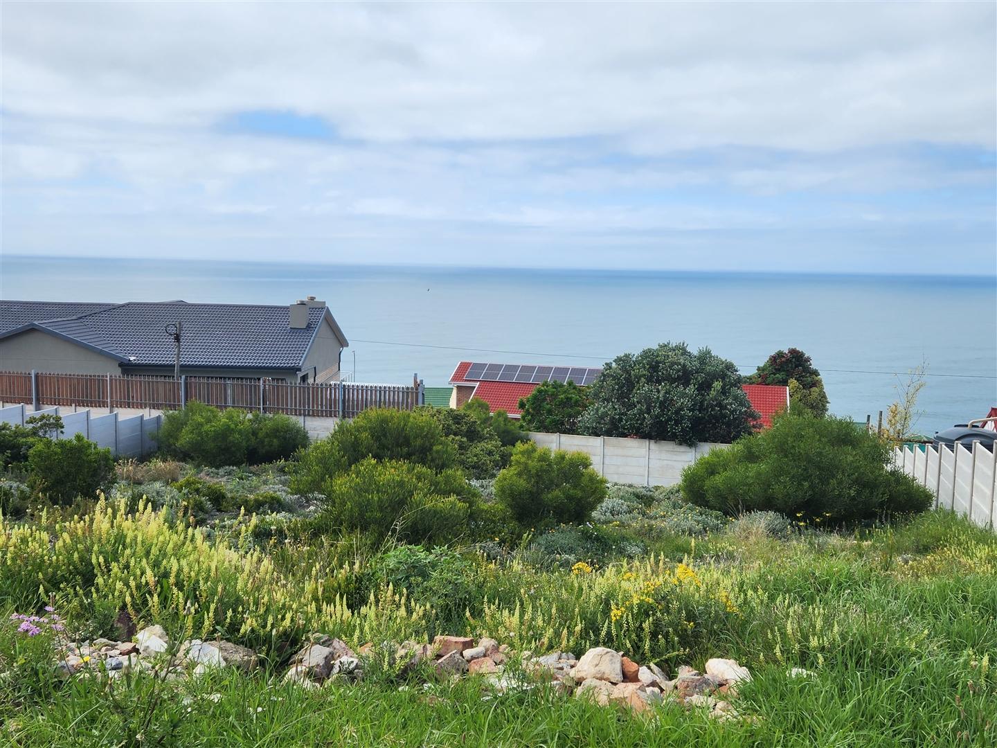 Image 13