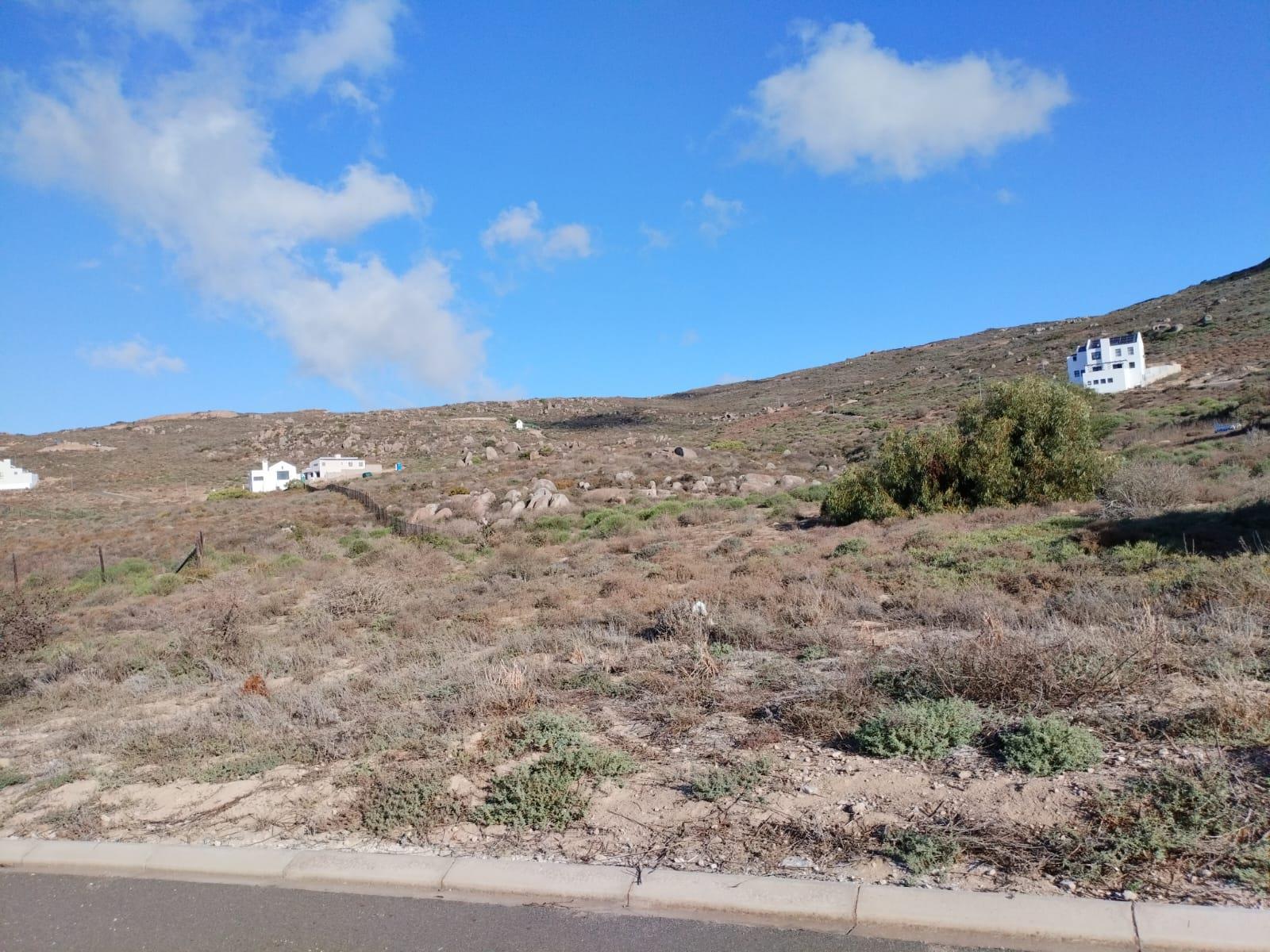 Image 14
