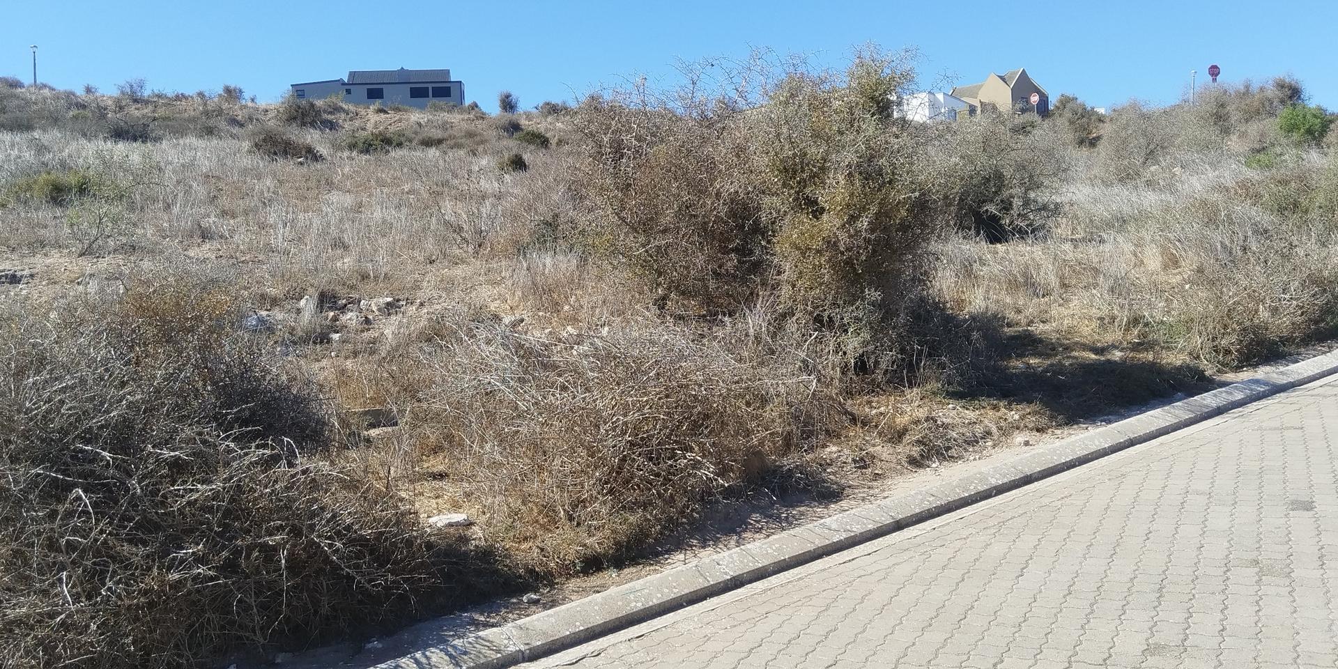 Image 5 of 6