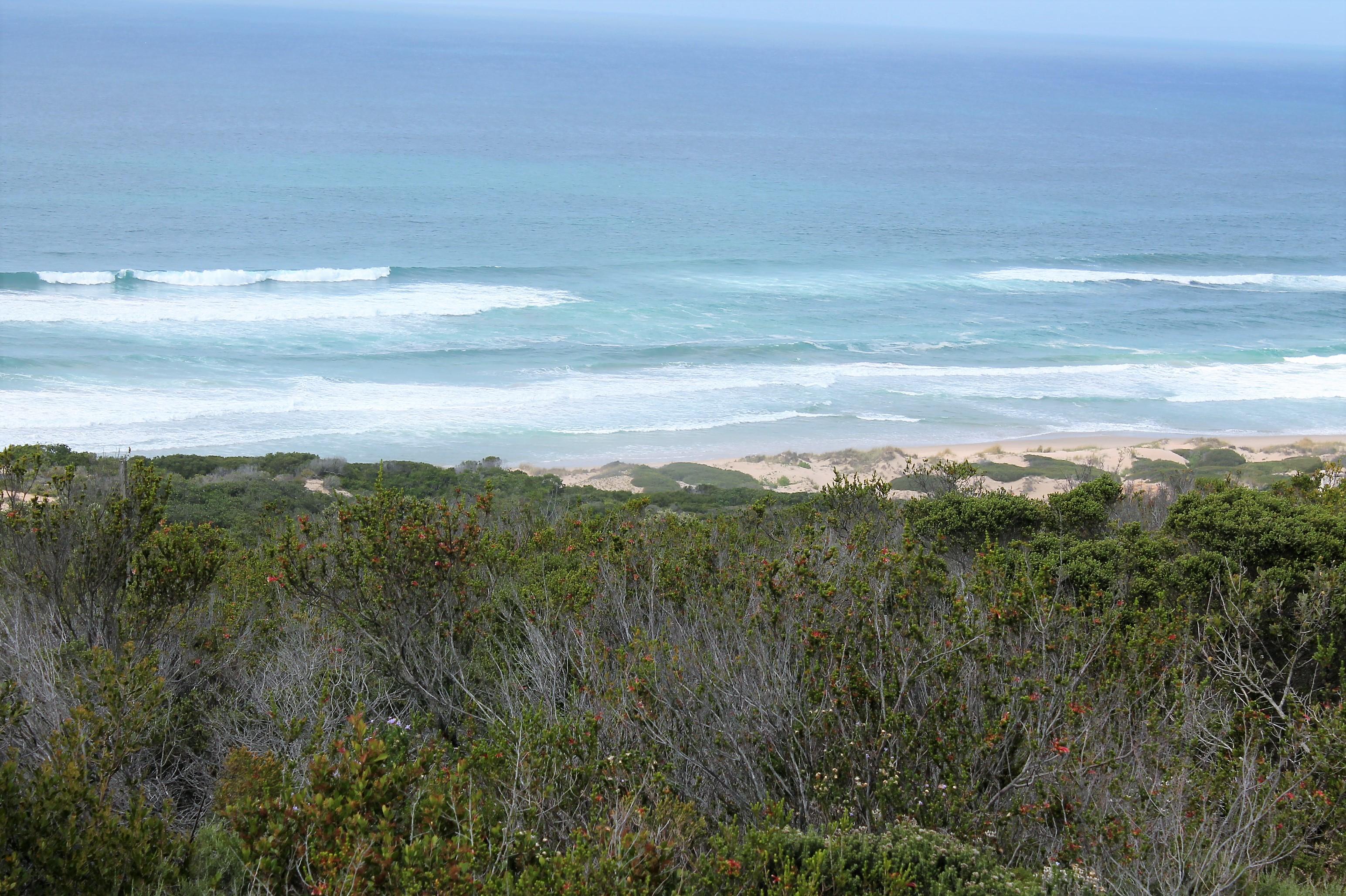 Image 5 of 6