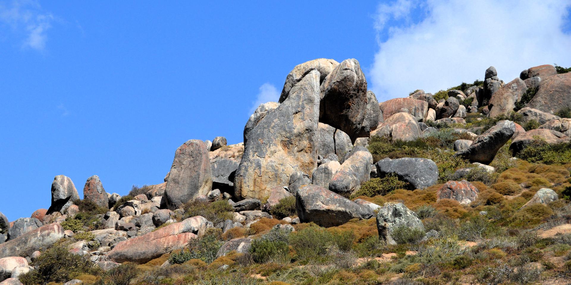 Image 5 of 6