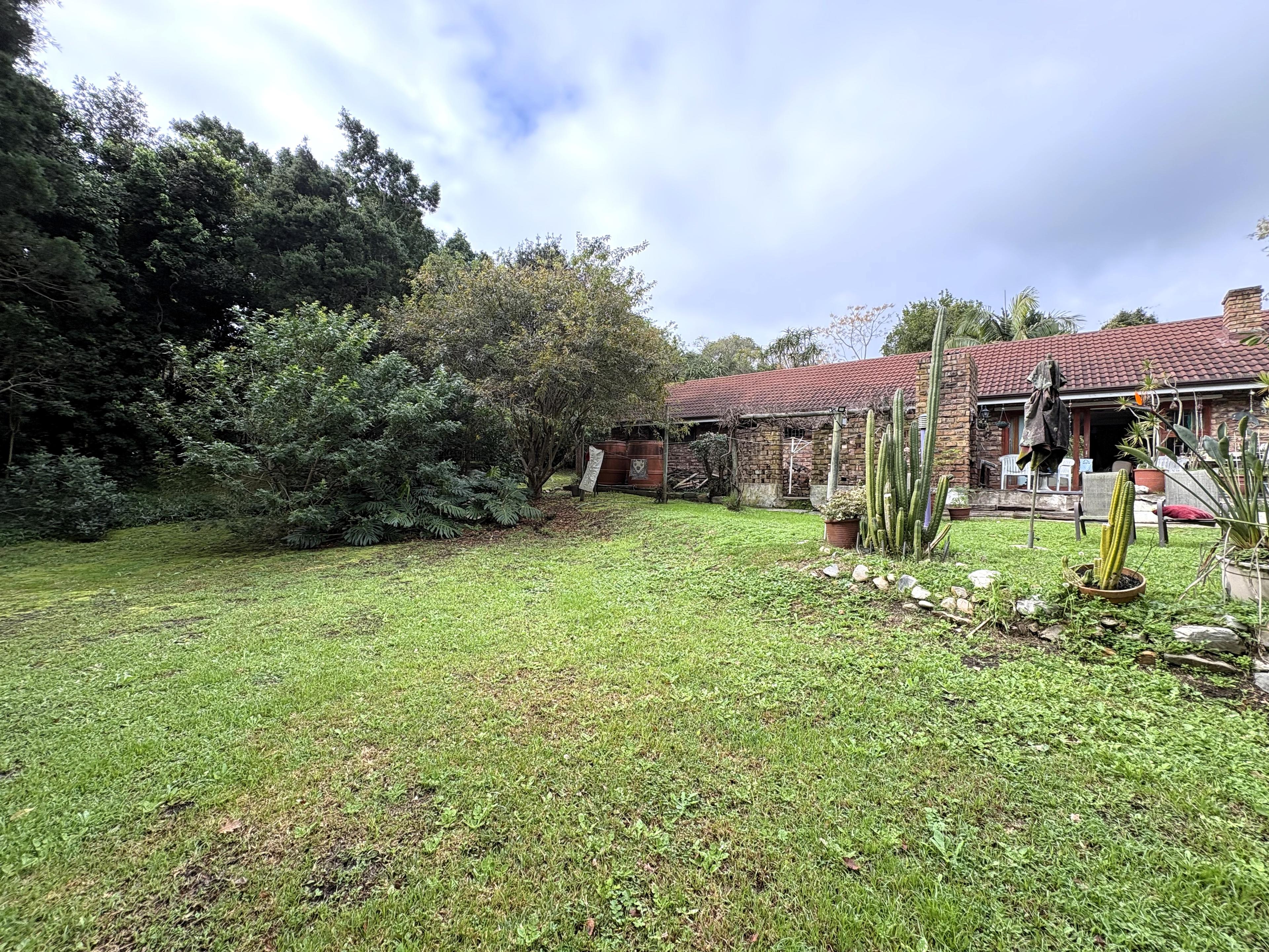Image 25
