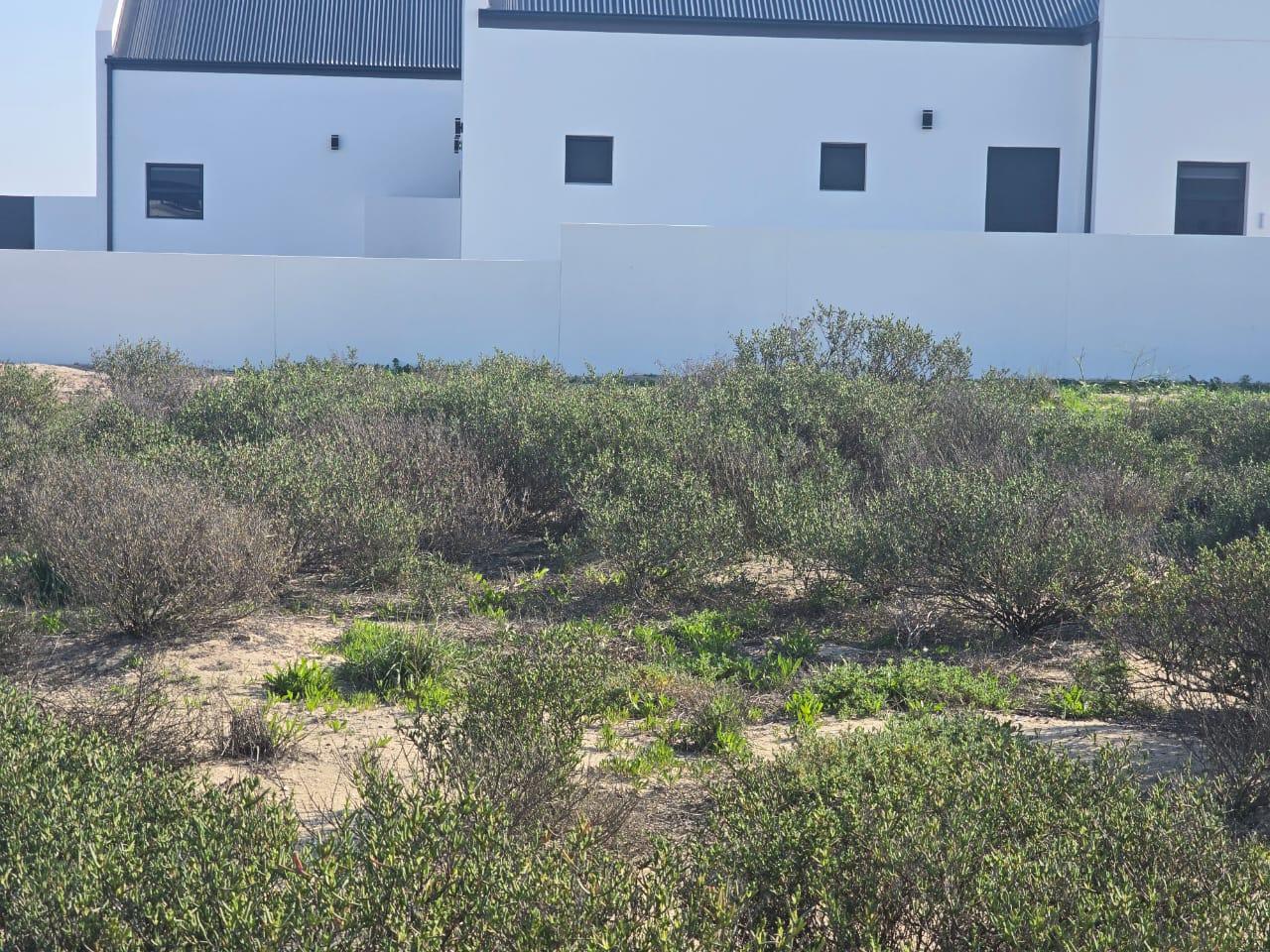Image 13