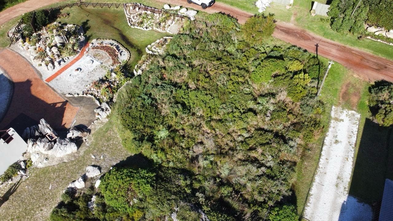 Image 4 of 6