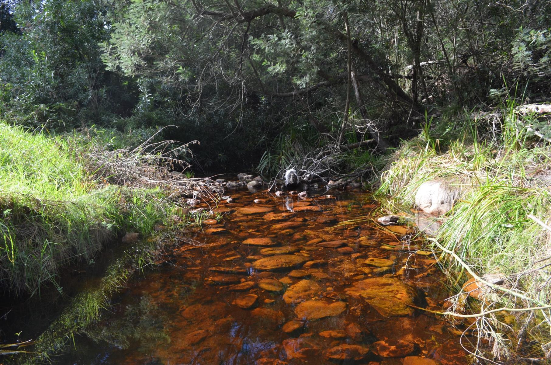 Image 10