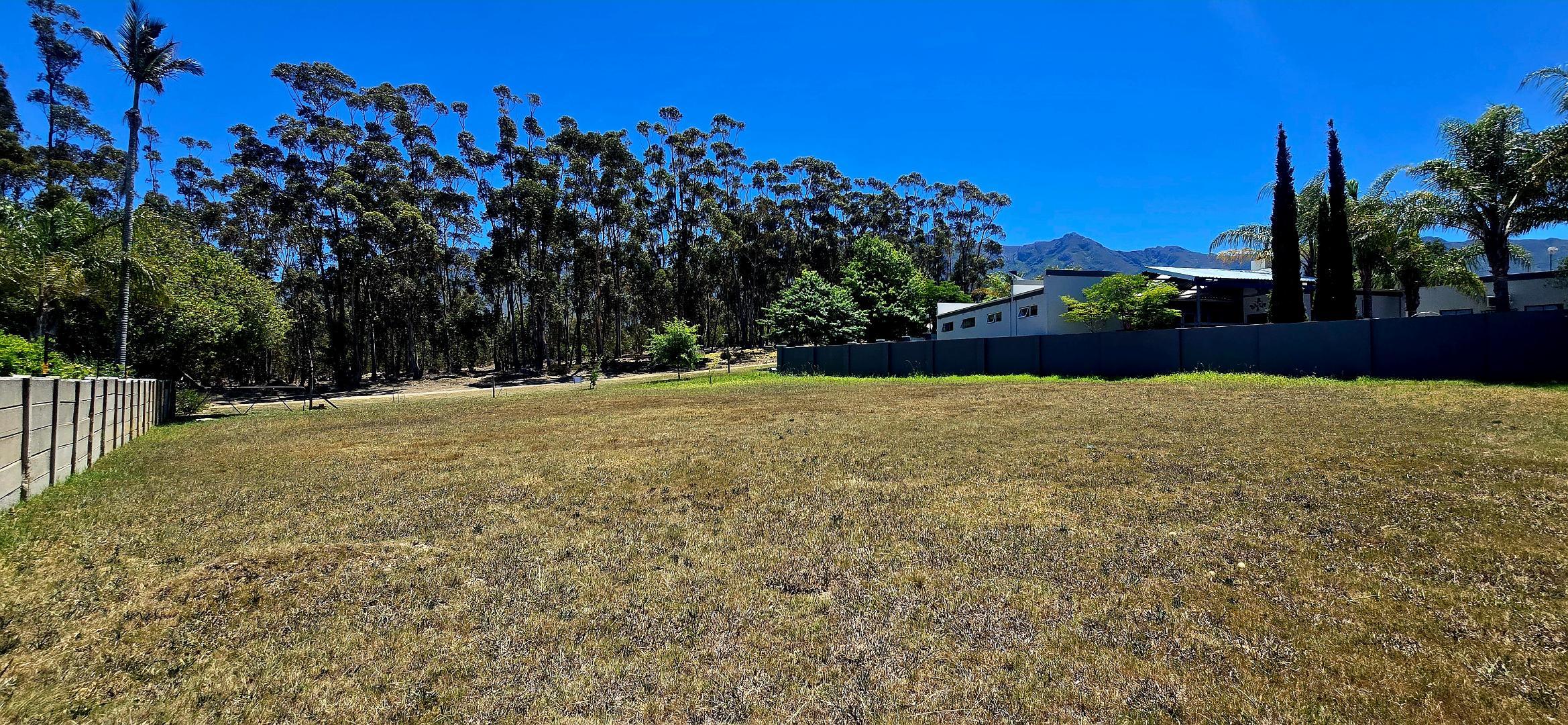Image 5 of 6