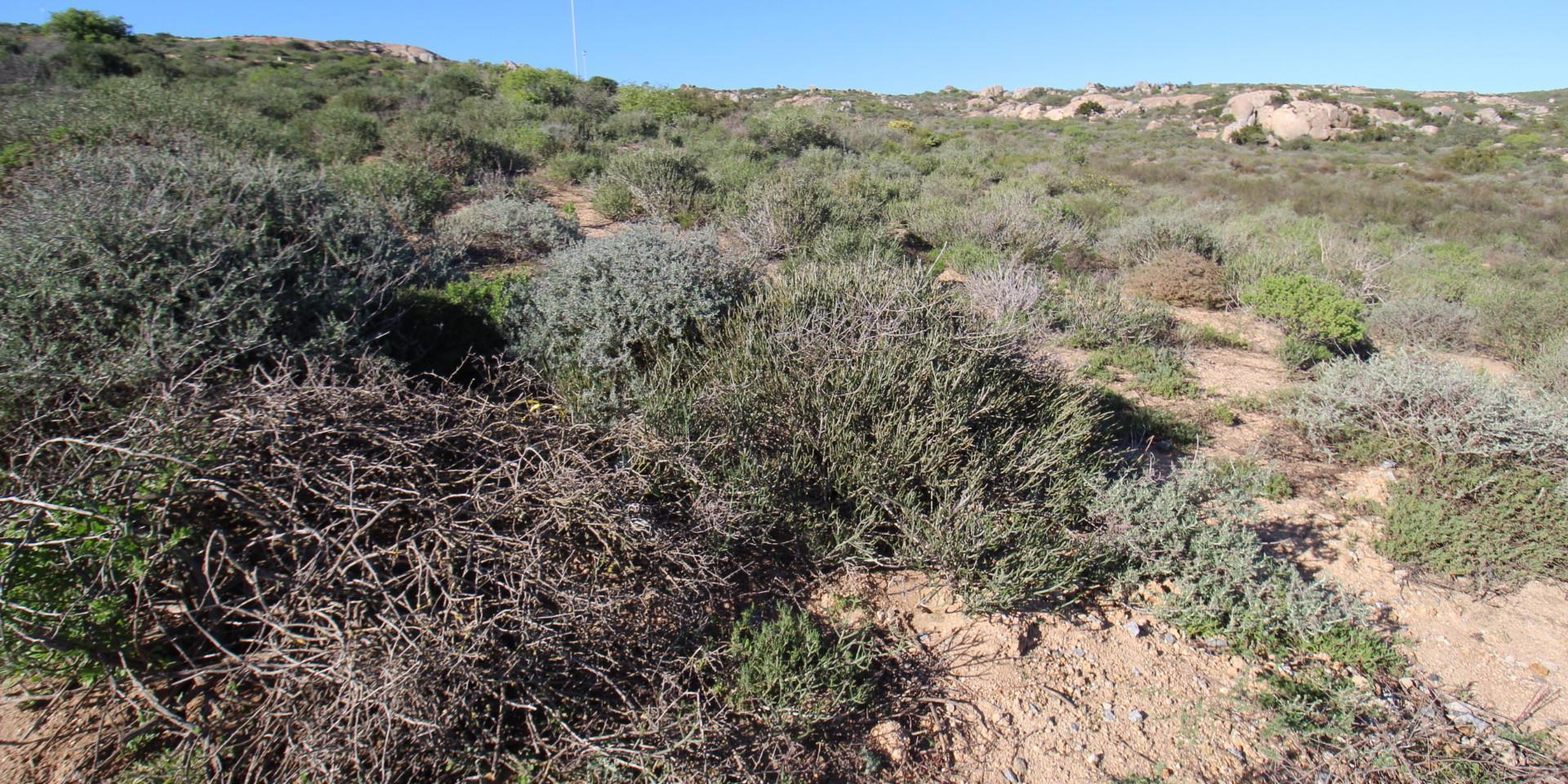 Image 5 of 6