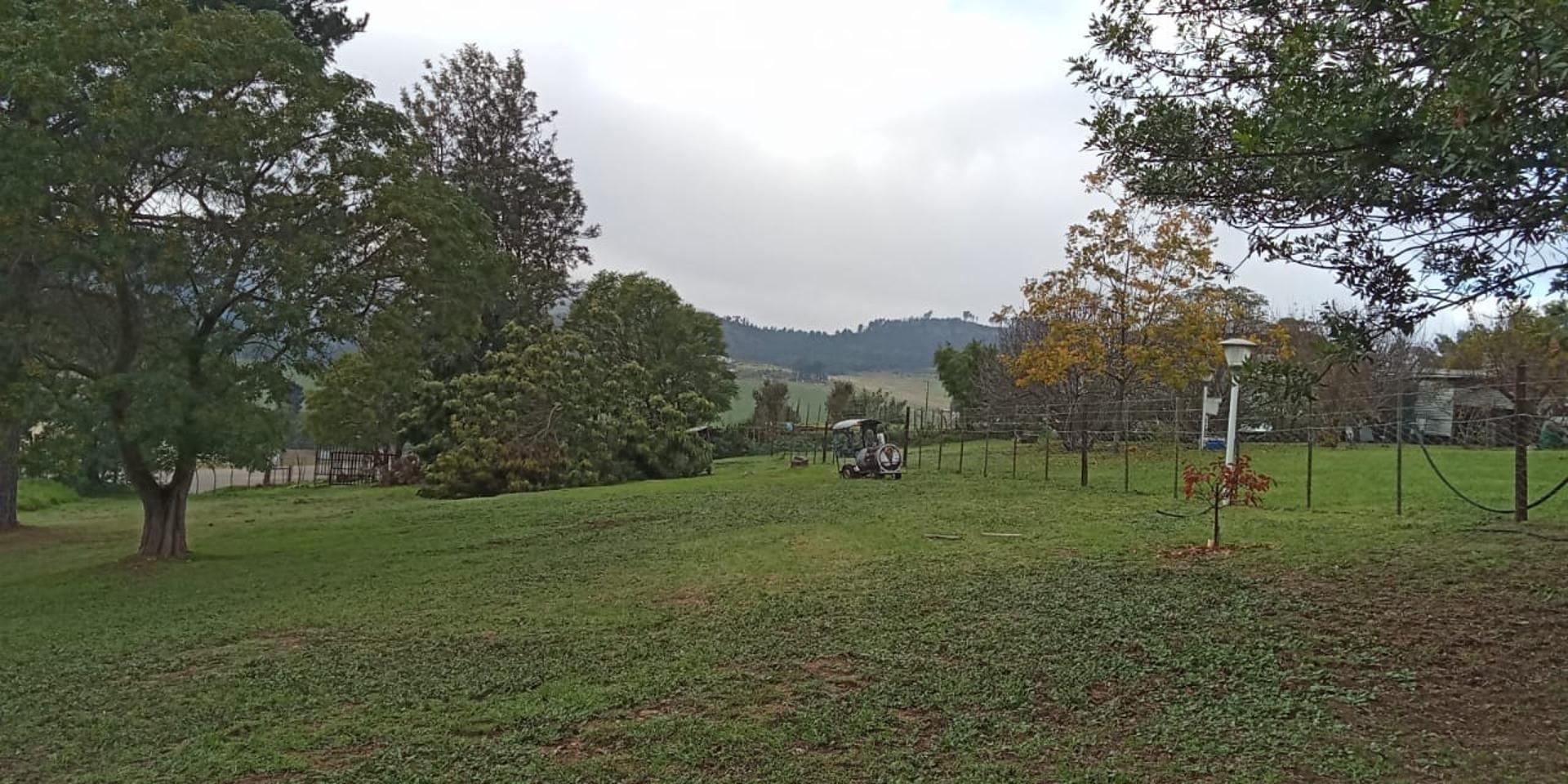 Image 2 of 6