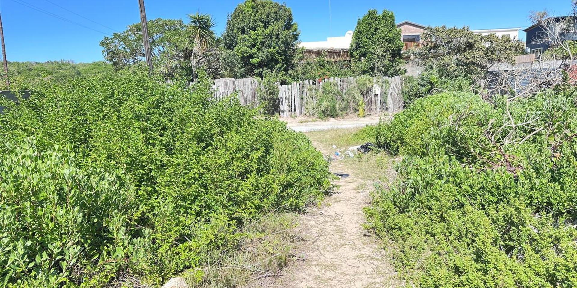 Image 4 of 6